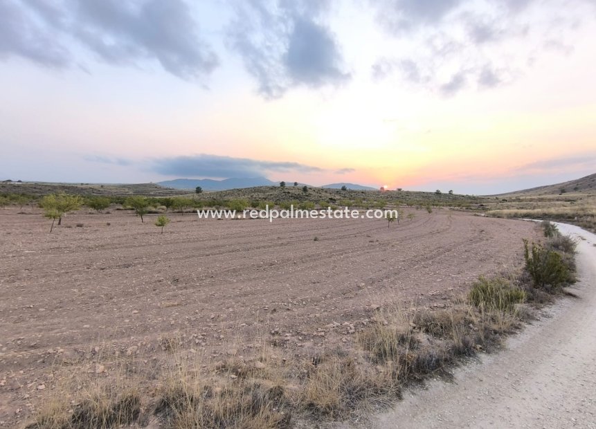 Revente - Parcelle -
Pinoso - Inland