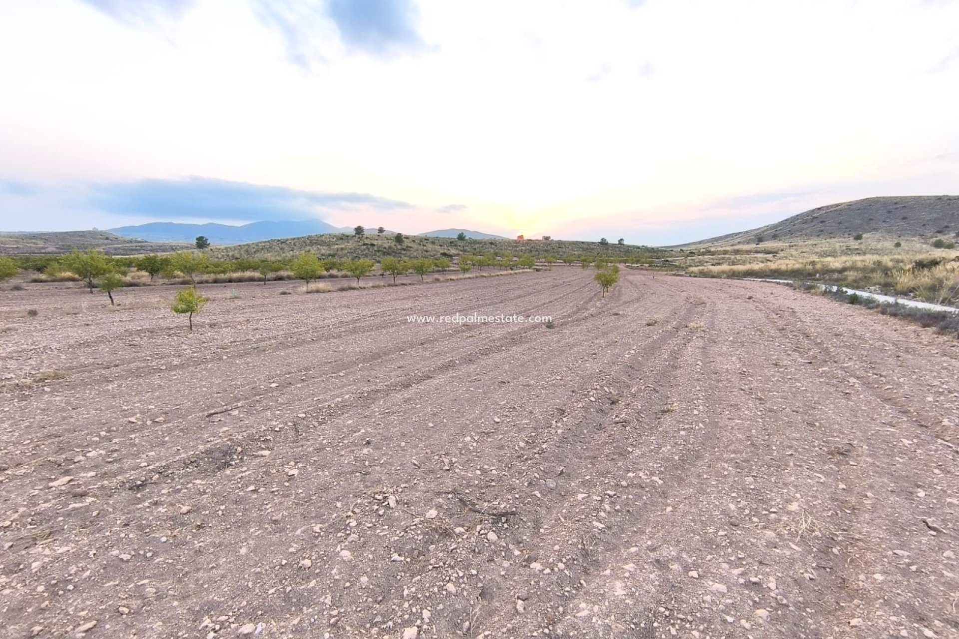 Revente - Parcelle -
Pinoso - Inland