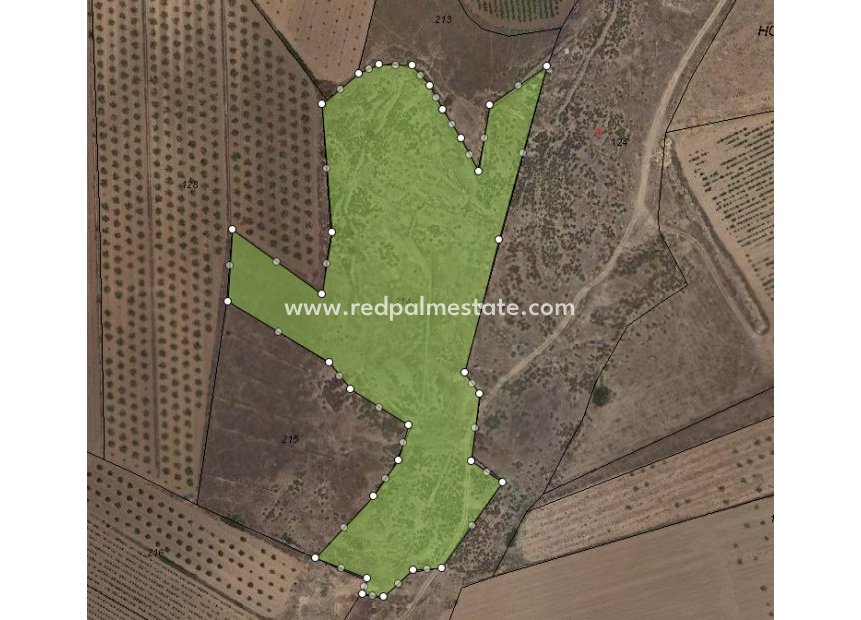 Revente - Parcelle -
Pinoso - Inland