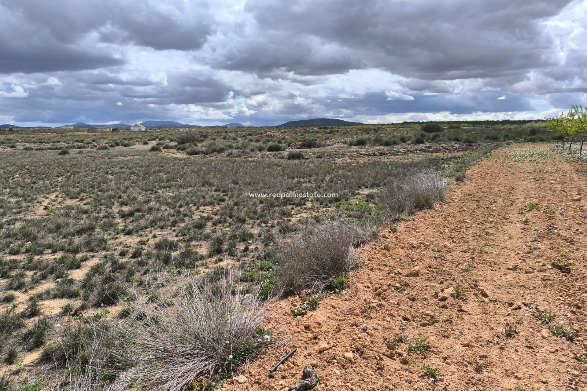 Revente - Parcelle -
Pinoso - Inland