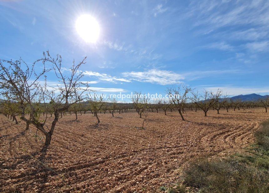 Revente - Parcelle -
Pinoso - Inland