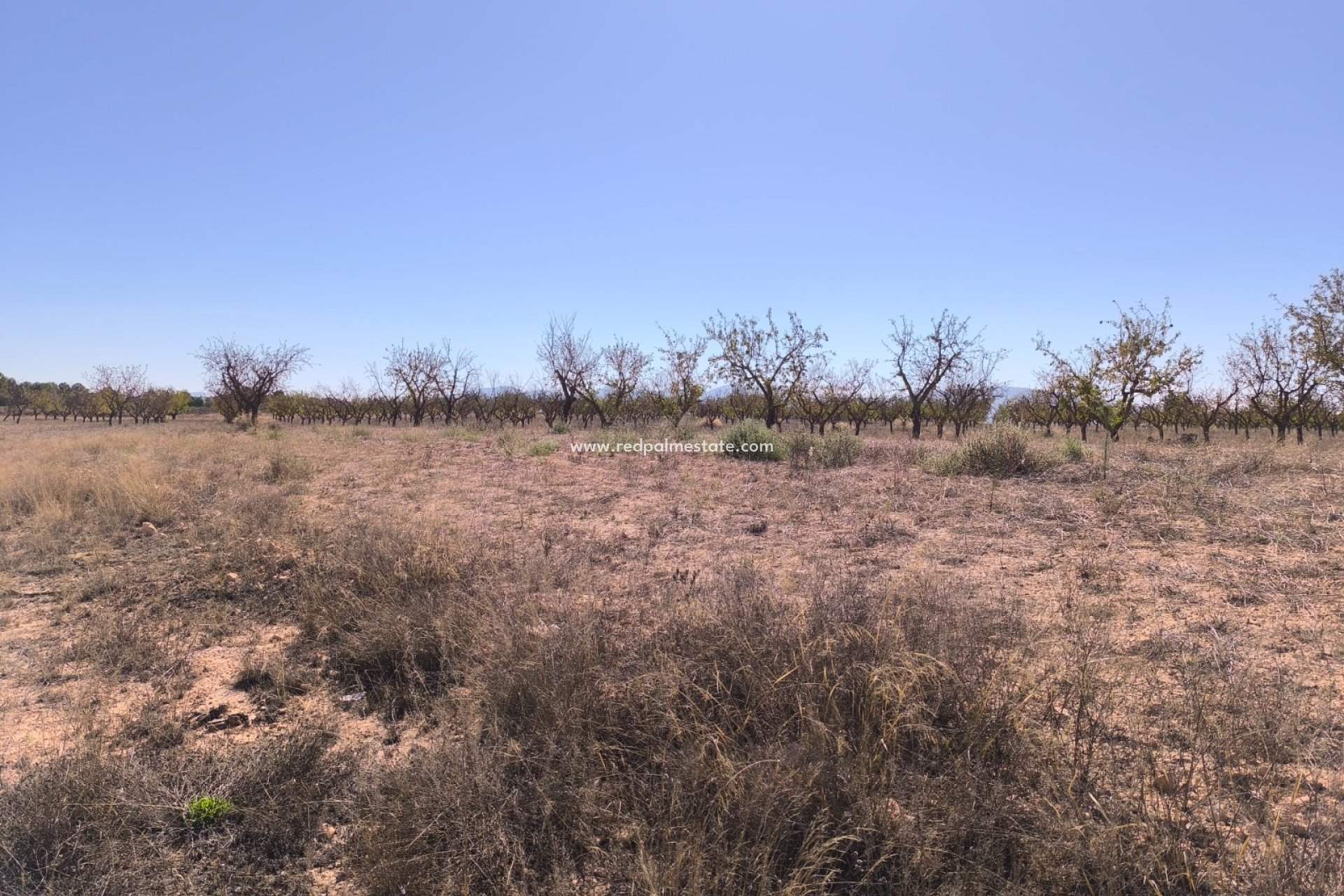 Revente - Parcelle -
Pinoso - Inland