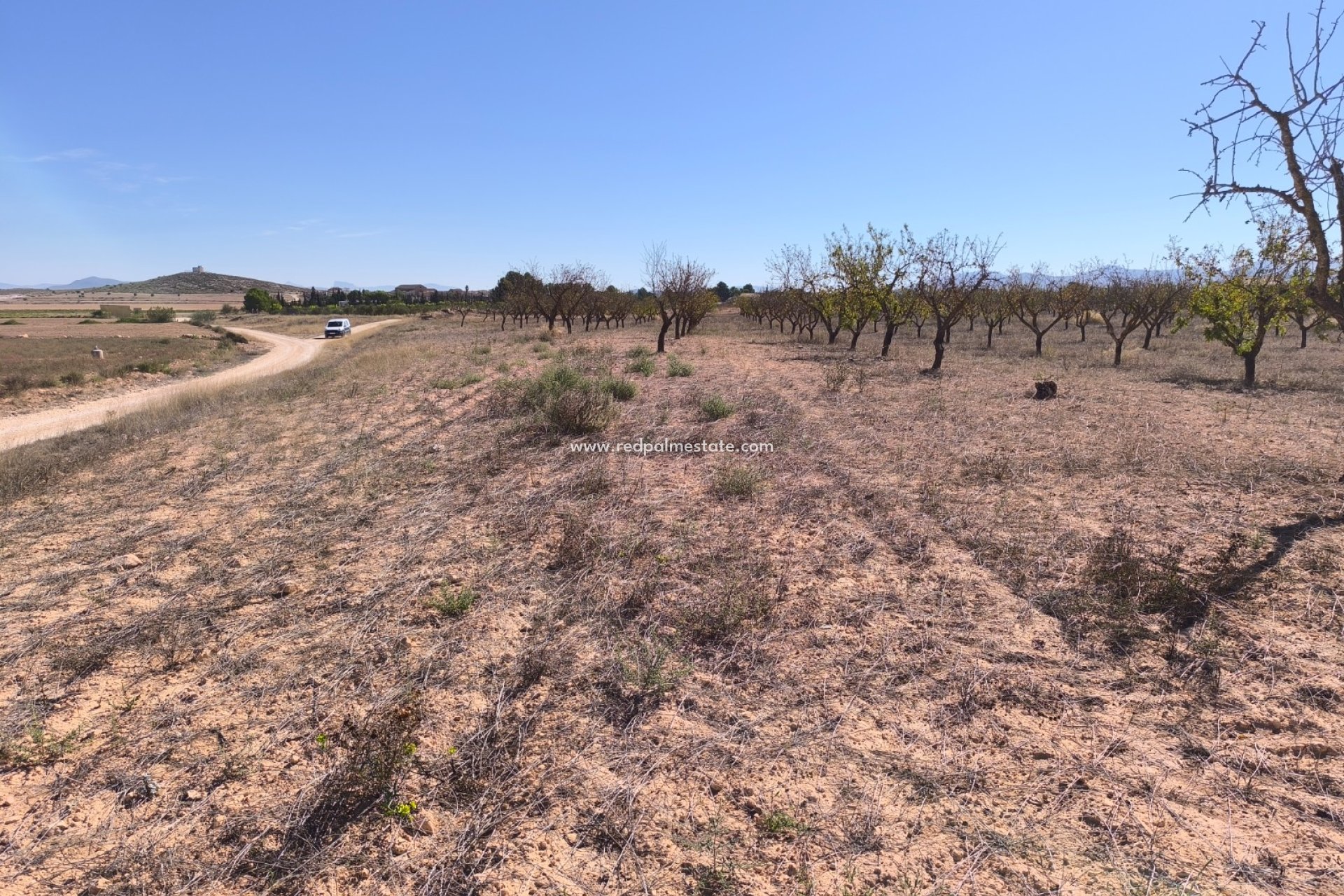 Revente - Parcelle -
Pinoso - Inland