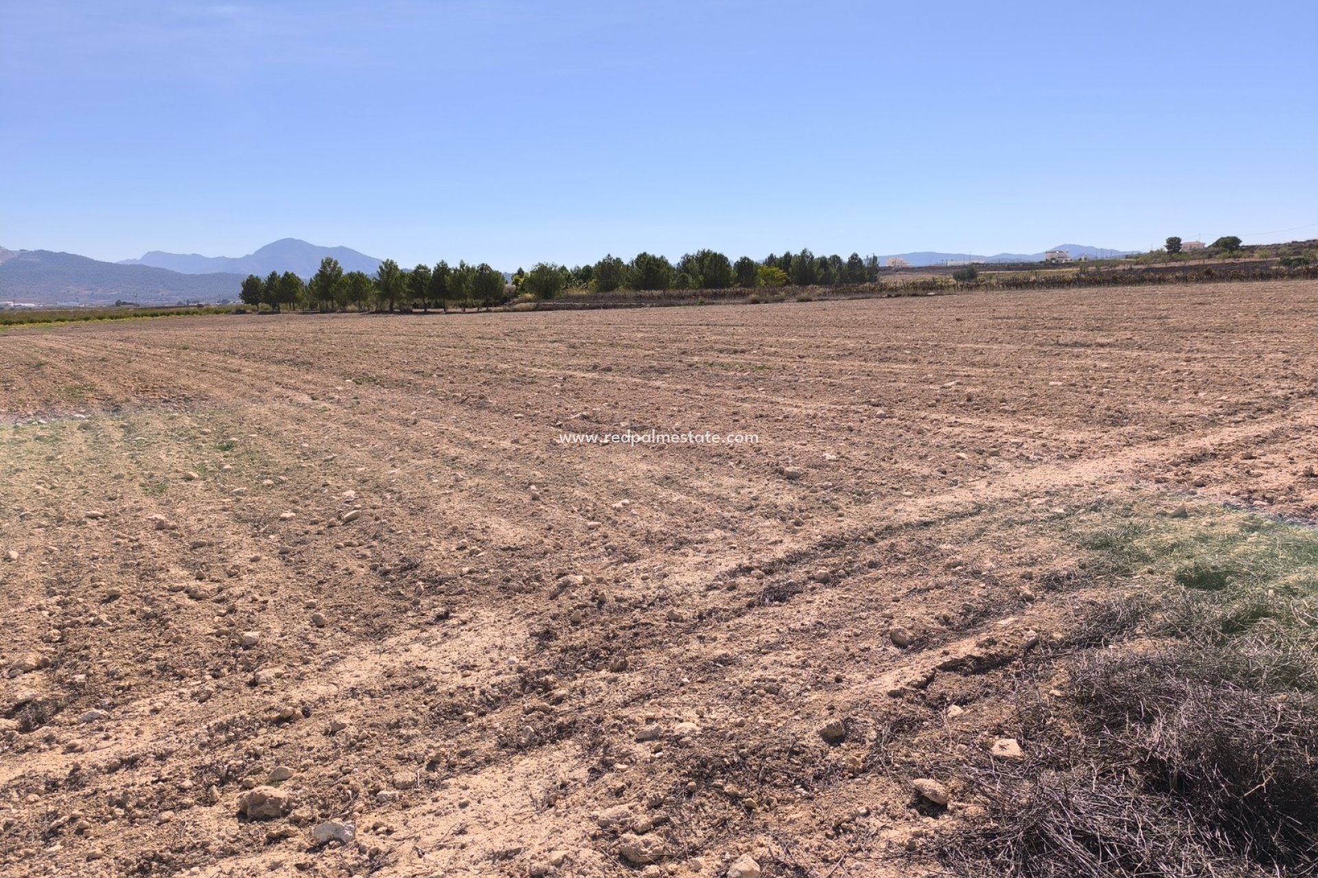 Revente - Parcelle -
Pinoso - Inland