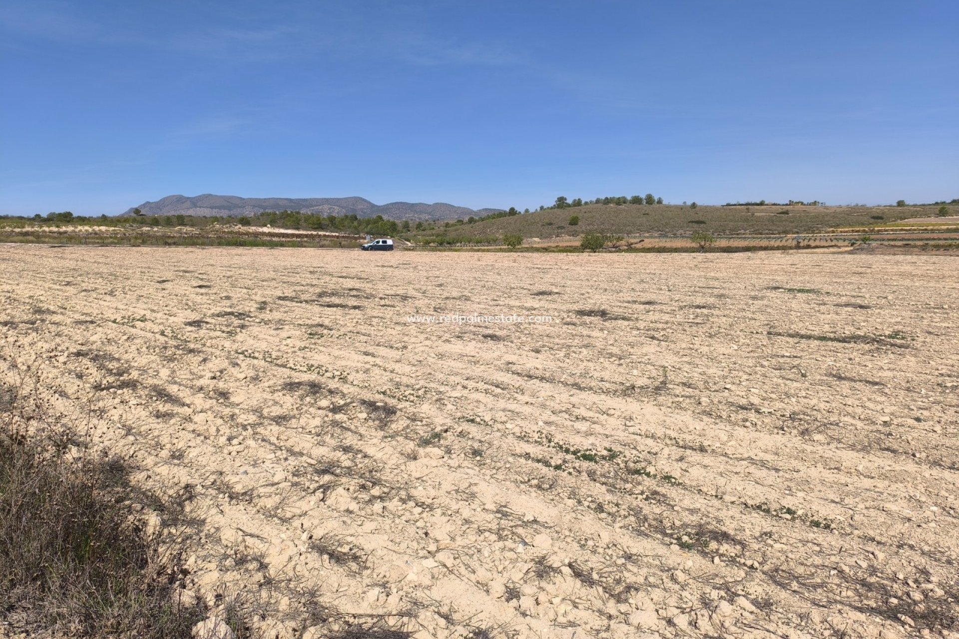 Revente - Parcelle -
Pinoso - Inland