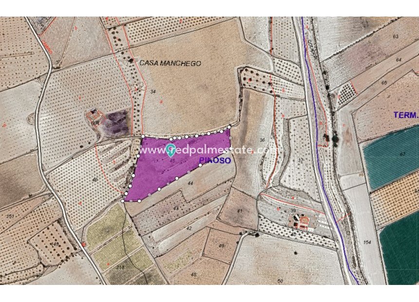 Revente - Parcelle -
Pinoso - Inland