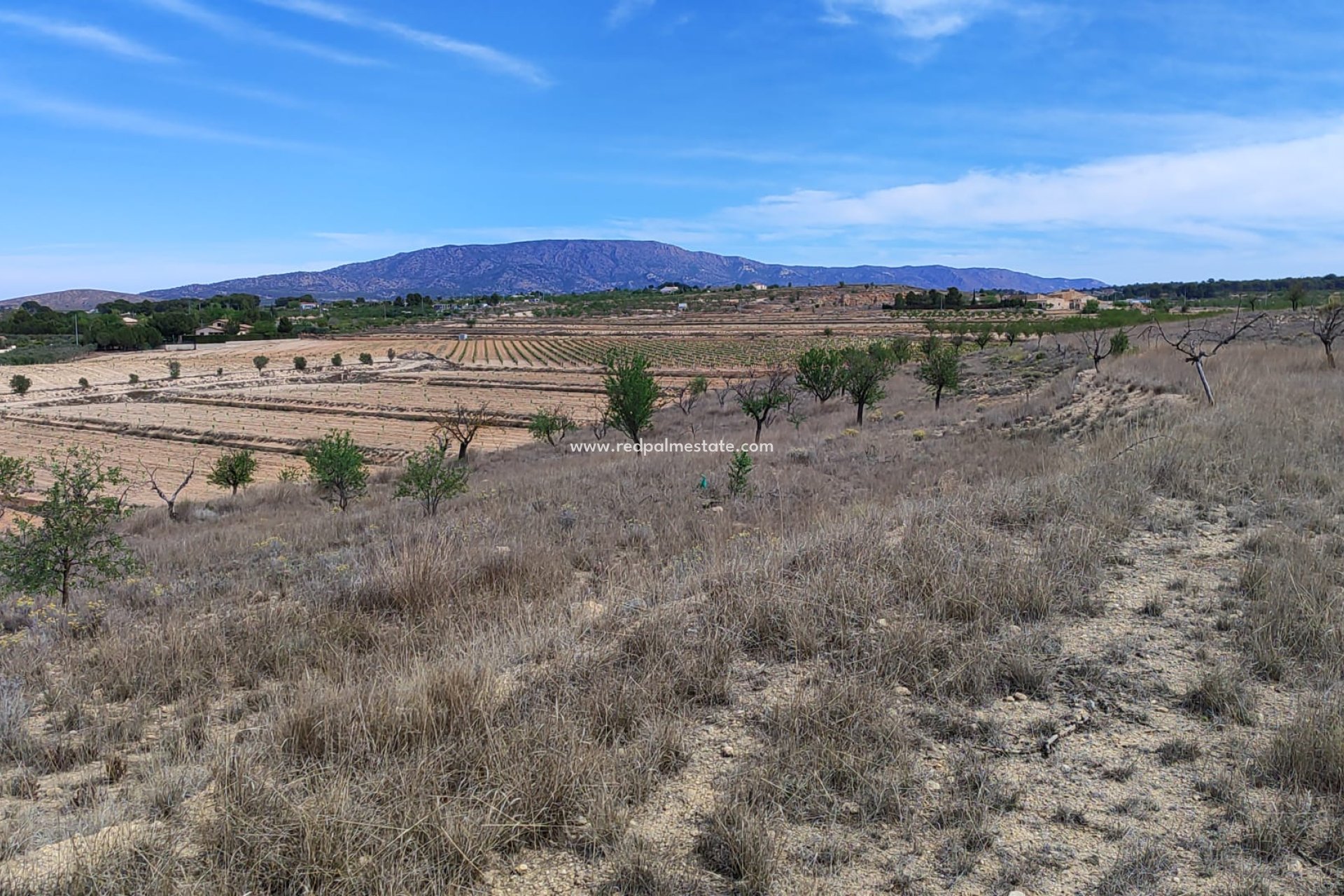 Revente - Parcelle -
Pinoso - Inland