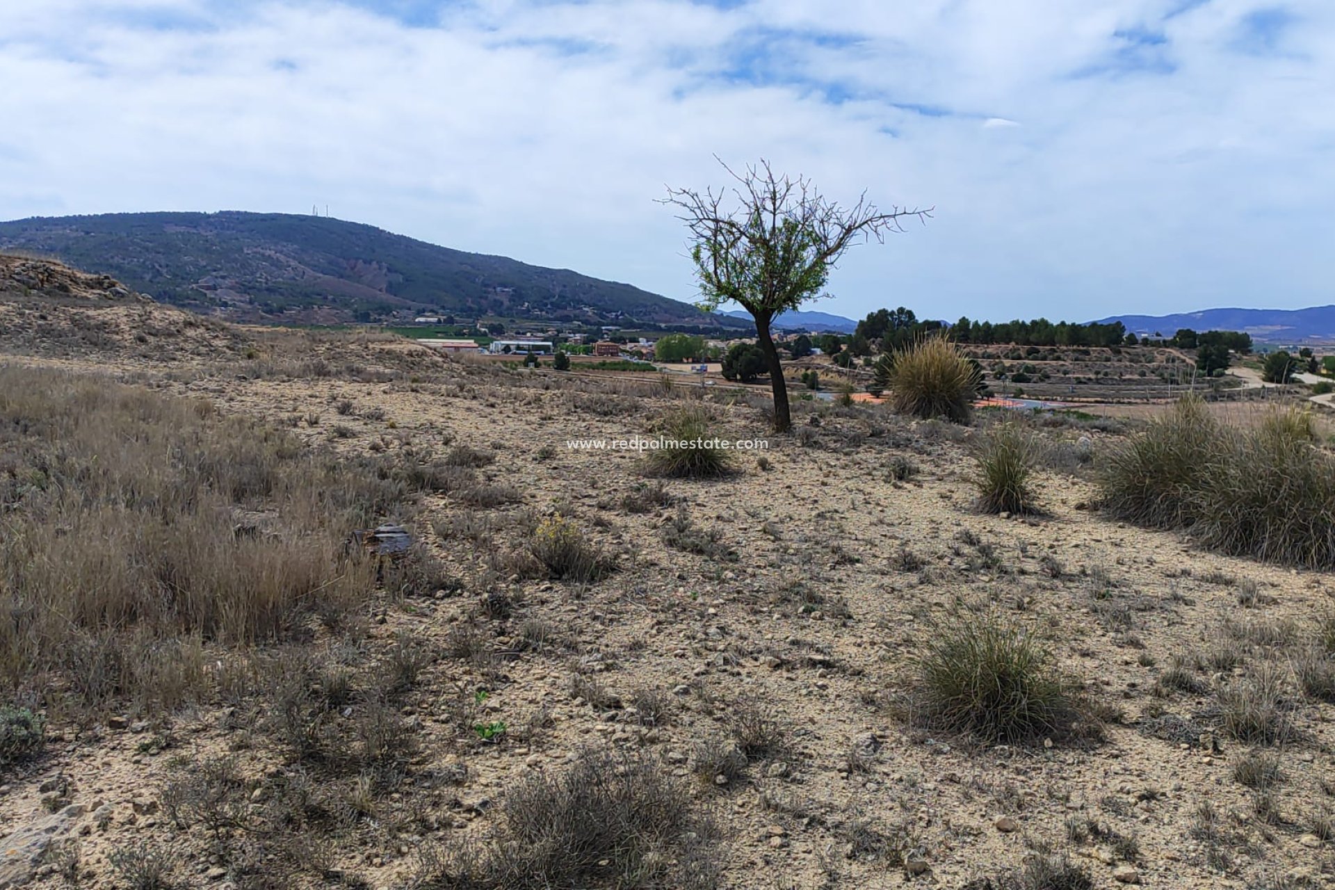 Revente - Parcelle -
Pinoso - Inland