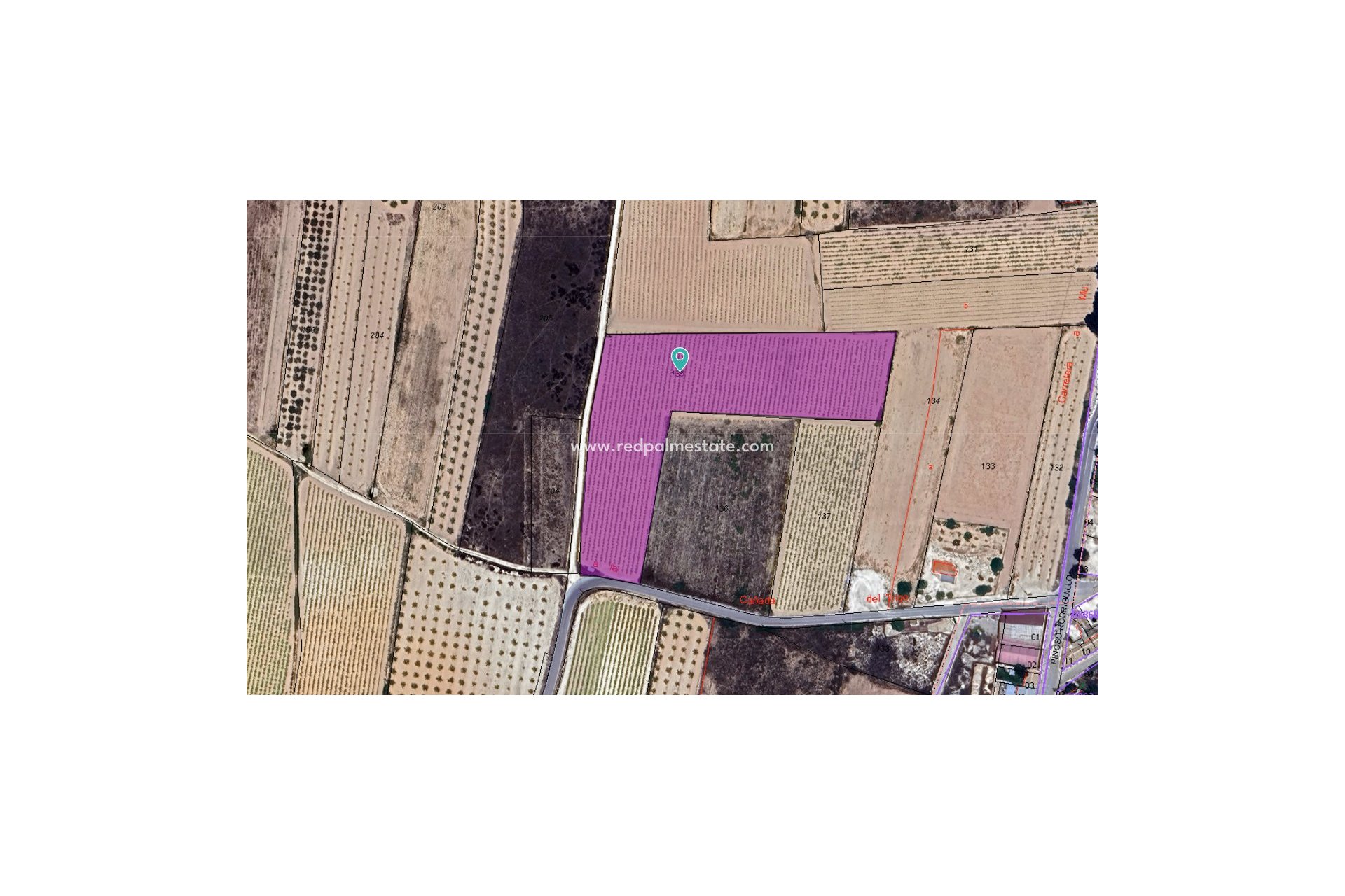 Revente - Parcelle -
Pinoso - Inland