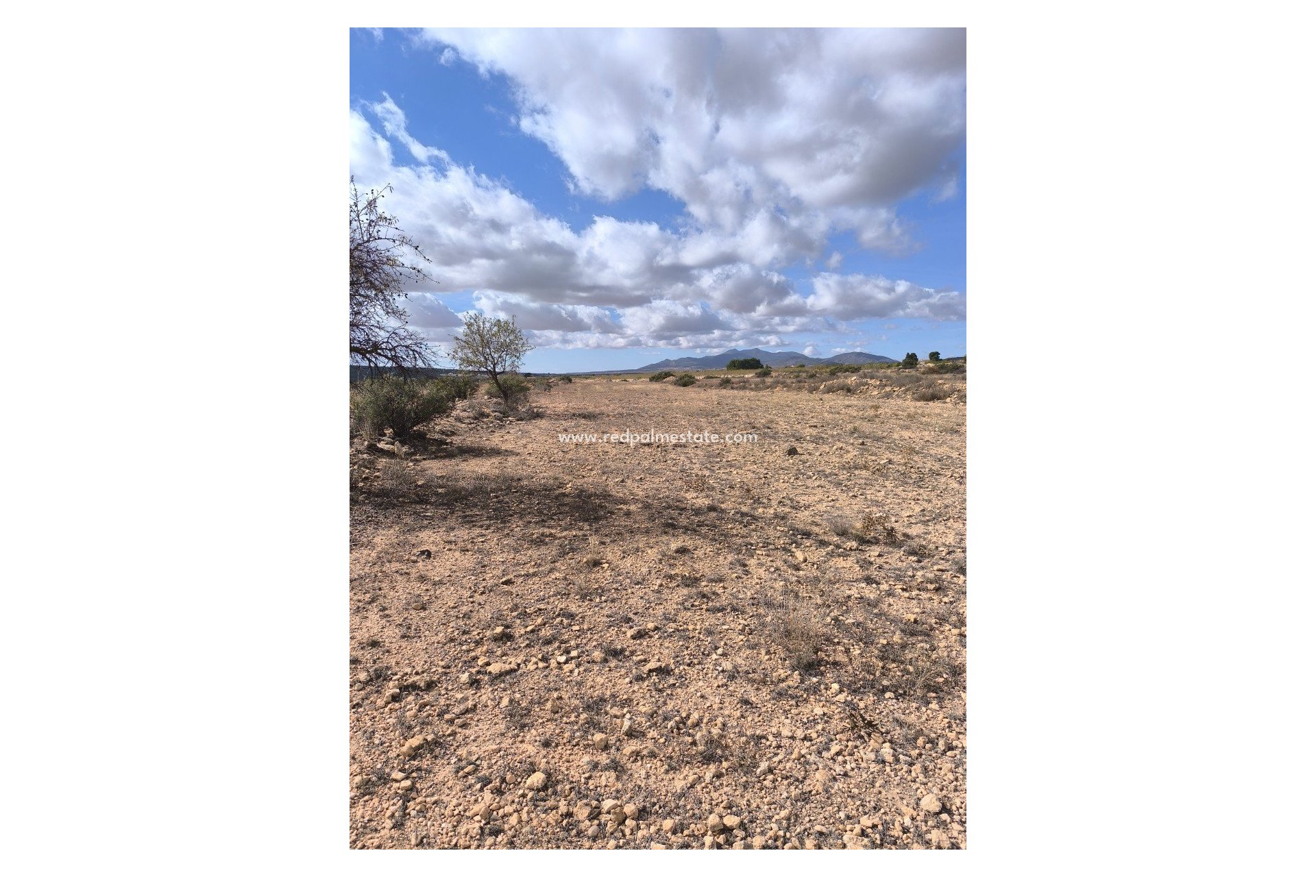 Revente - Parcelle -
Pinoso - Inland