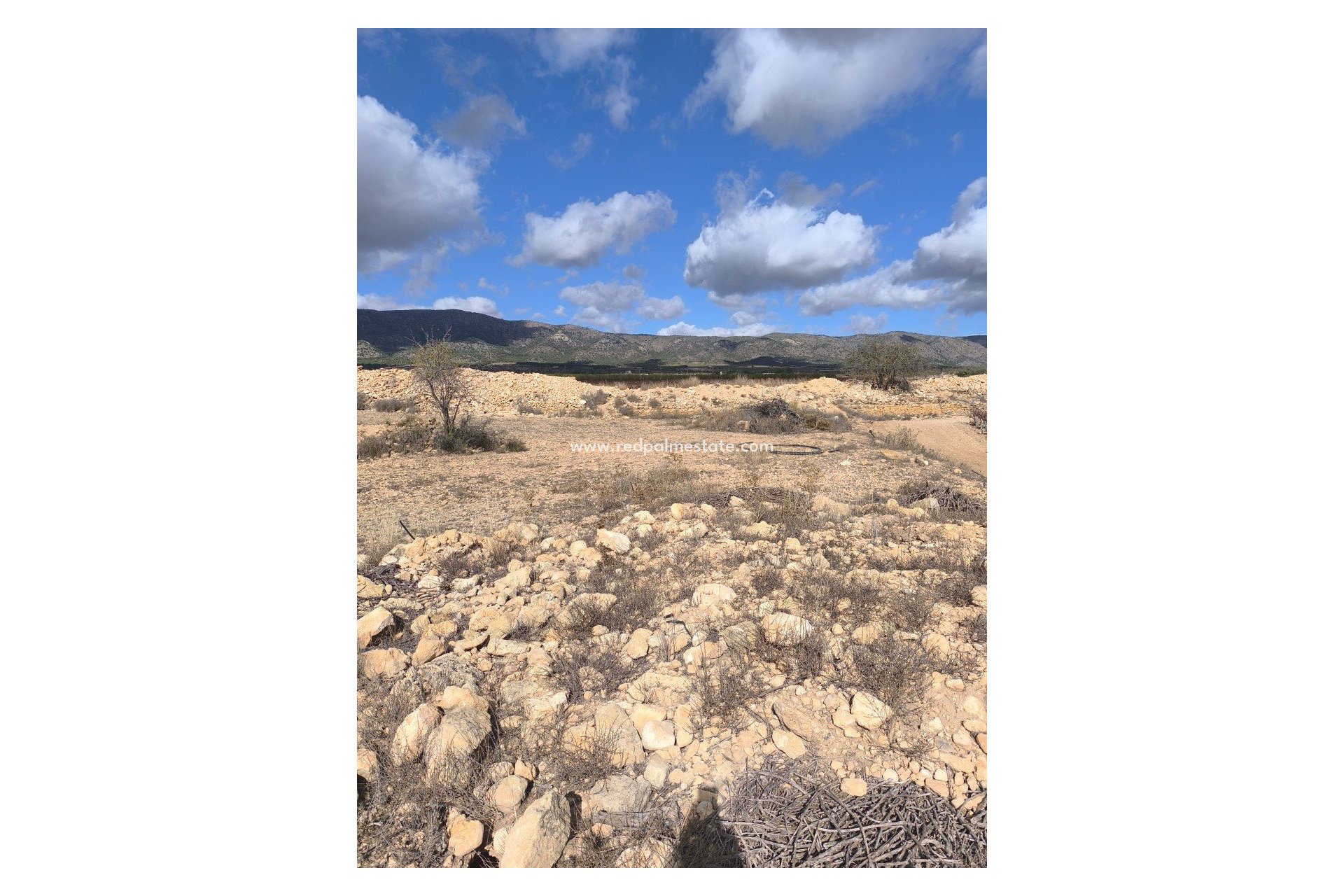 Revente - Parcelle -
Pinoso - Inland