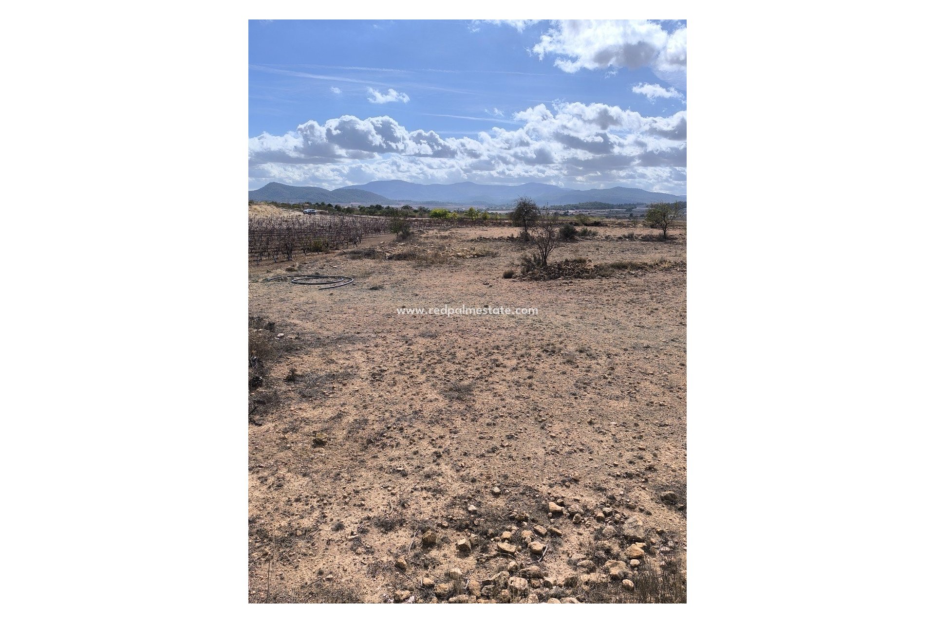 Revente - Parcelle -
Pinoso - Inland