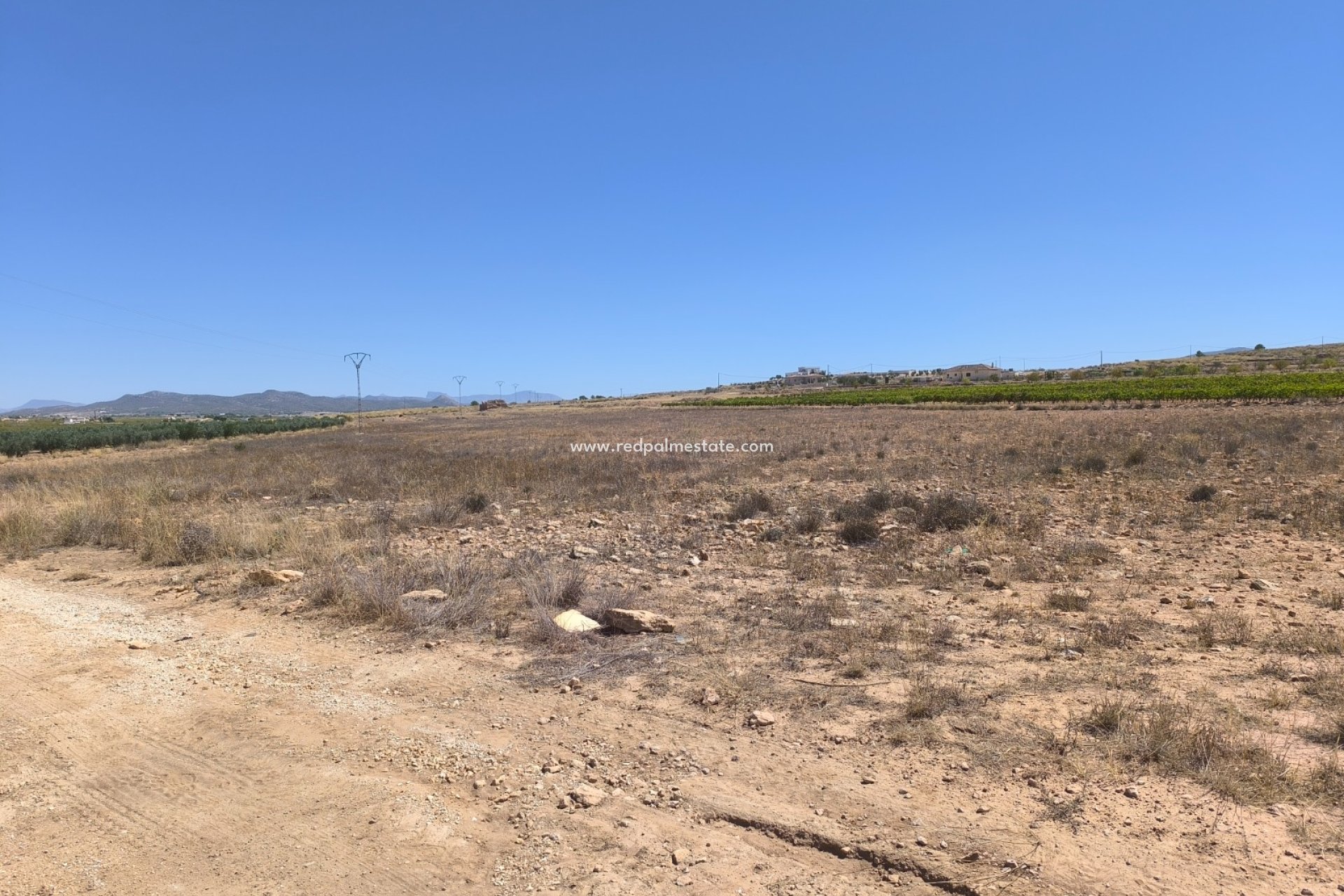 Revente - Parcelle -
Pinoso - Inland