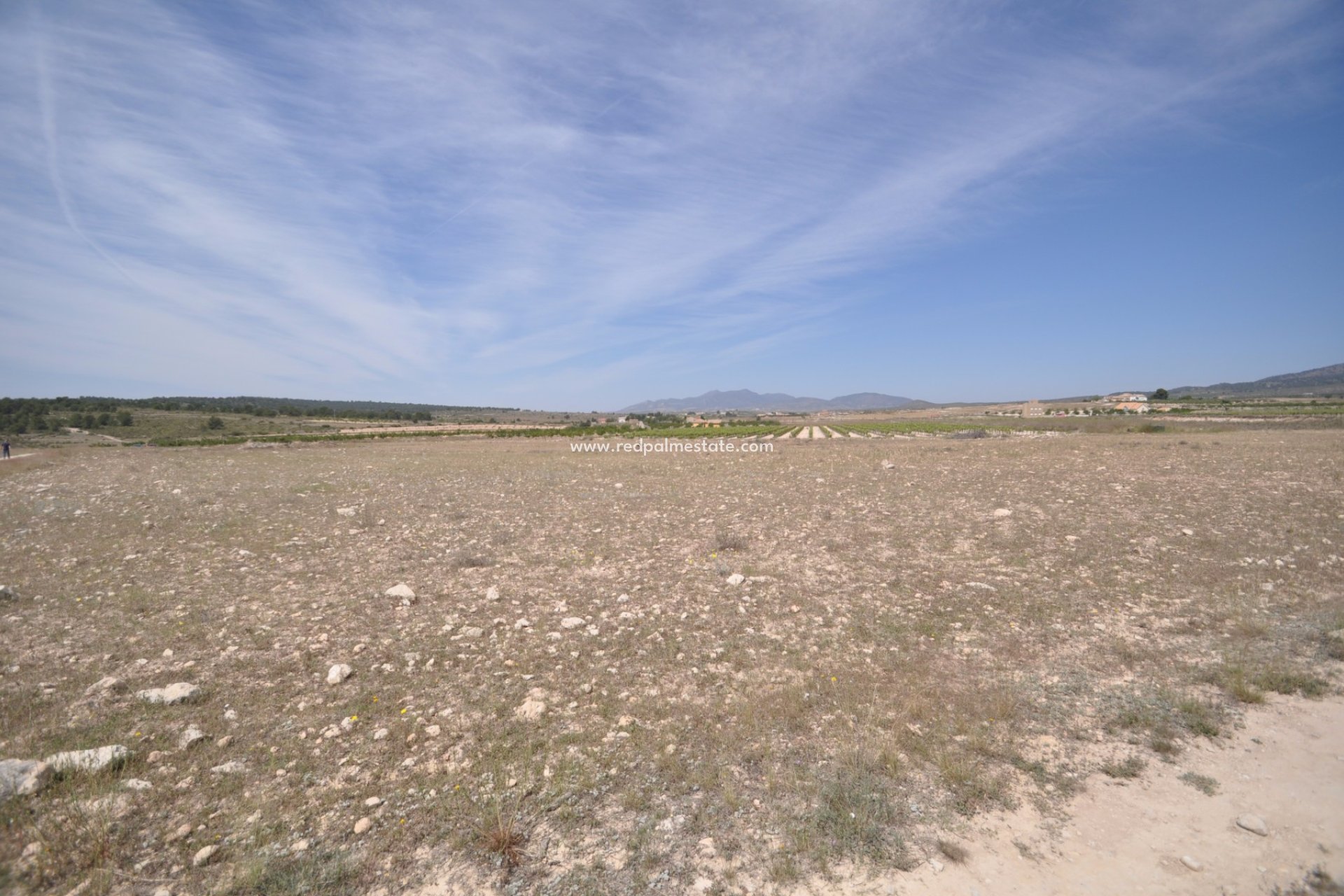 Revente - Parcelle -
Pinoso - Inland