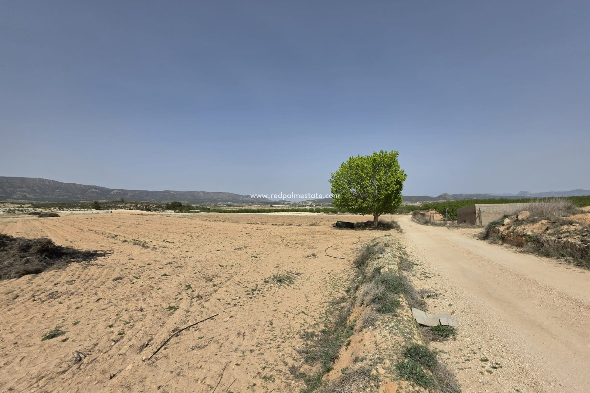 Revente - Parcelle -
Pinoso - Inland