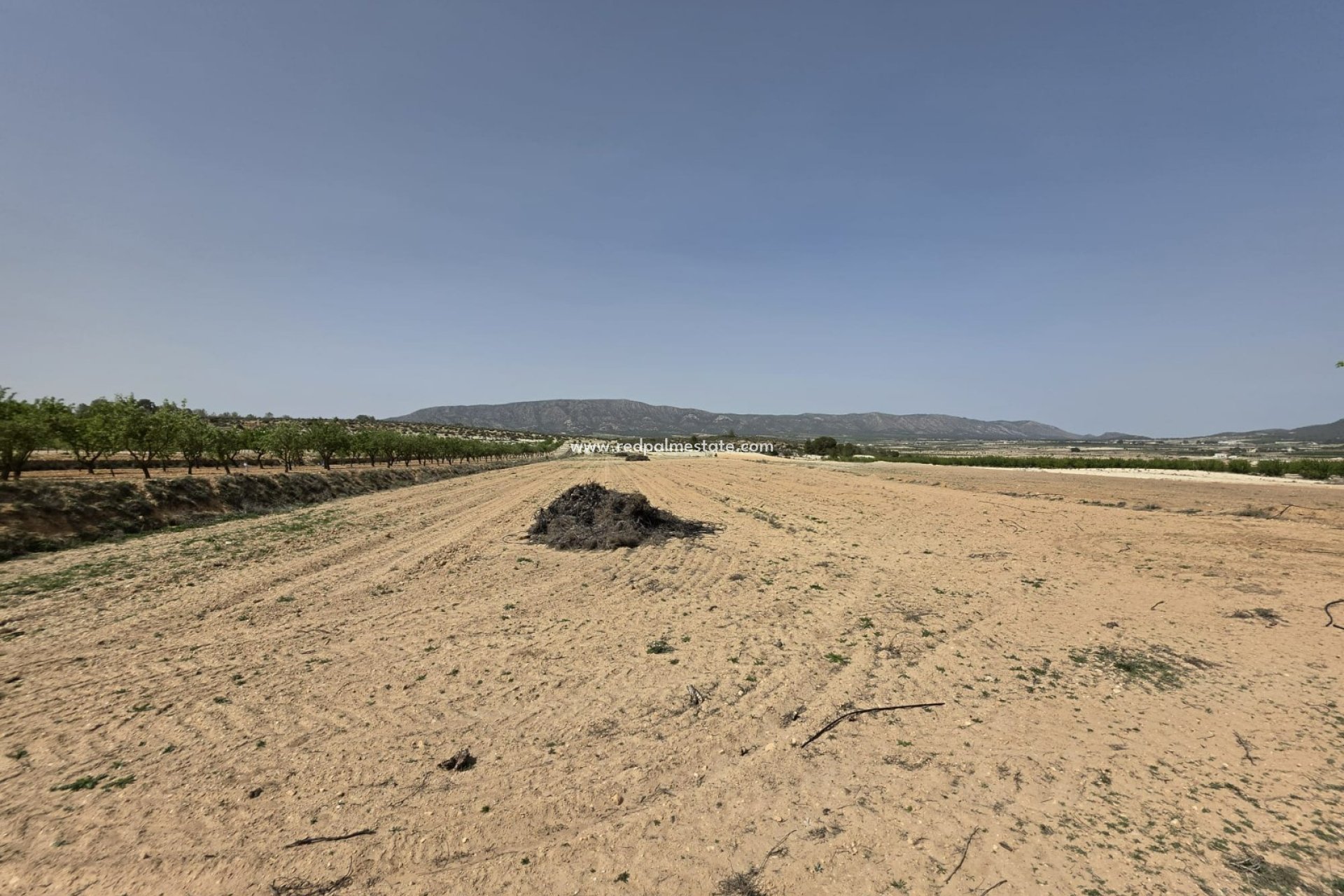 Revente - Parcelle -
Pinoso - Inland