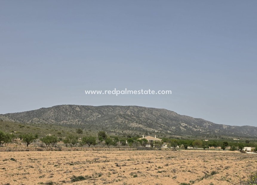 Revente - Parcelle -
Pinoso - Inland