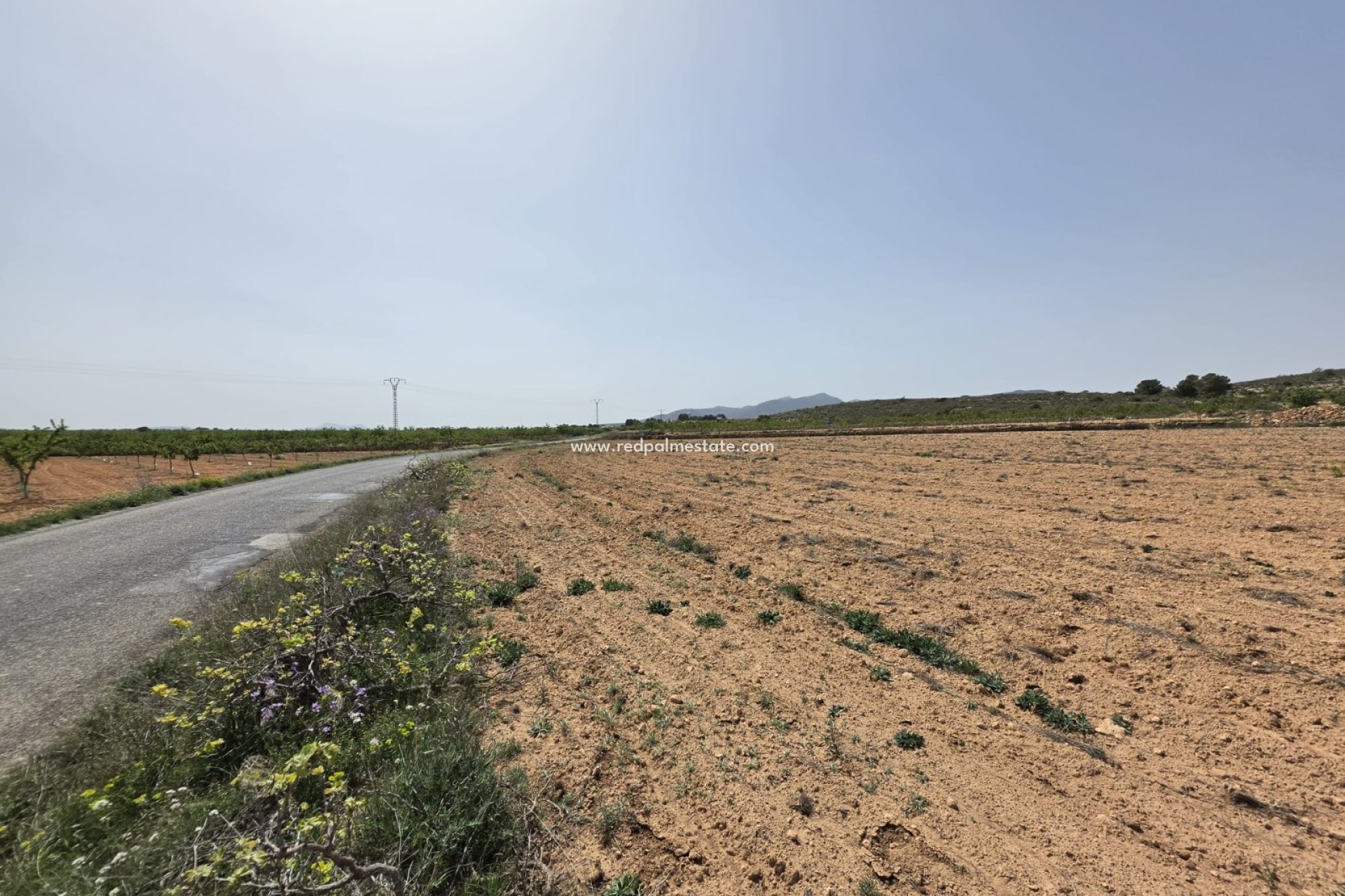 Revente - Parcelle -
Pinoso - Inland