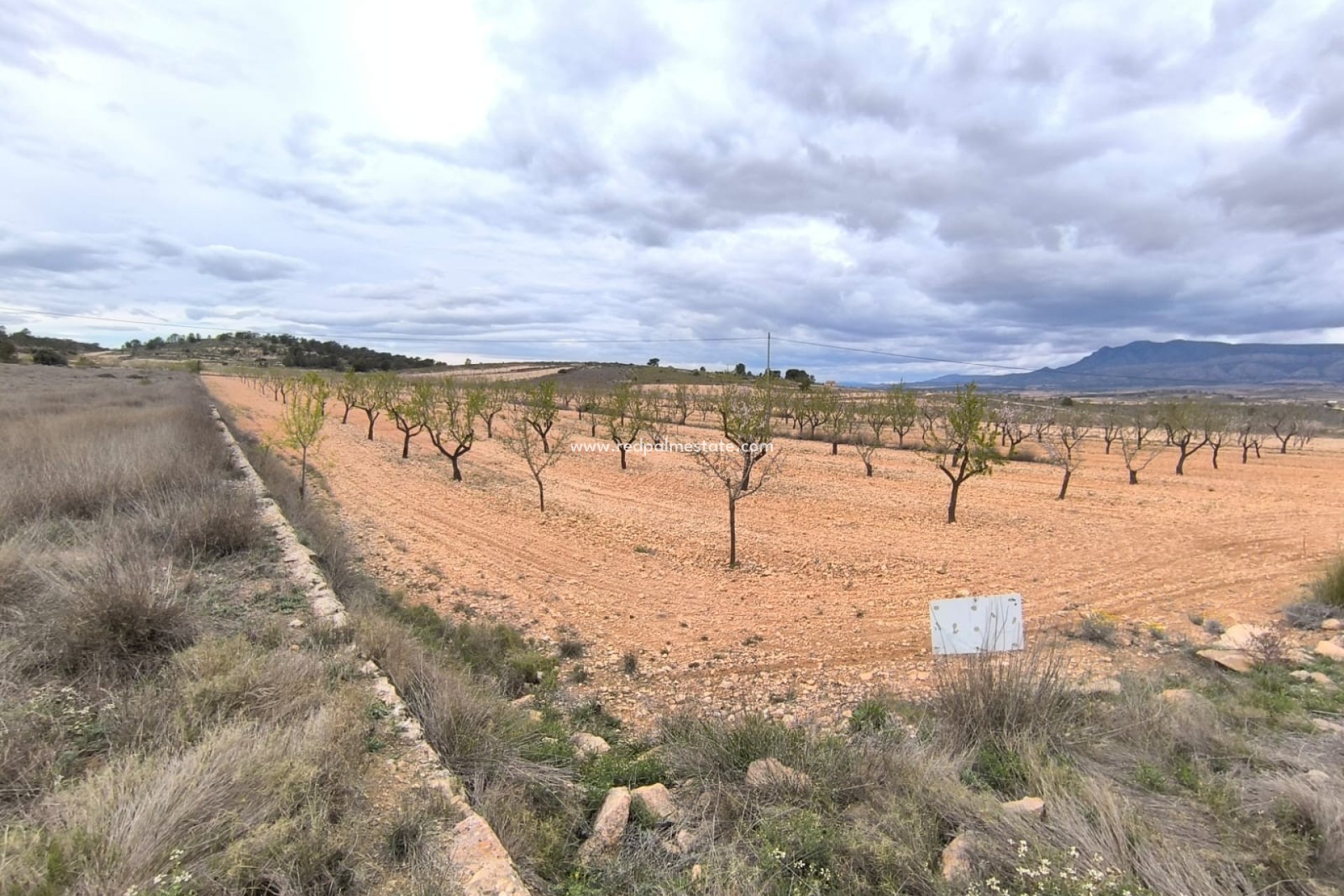 Revente - Parcelle -
Pinoso - Inland