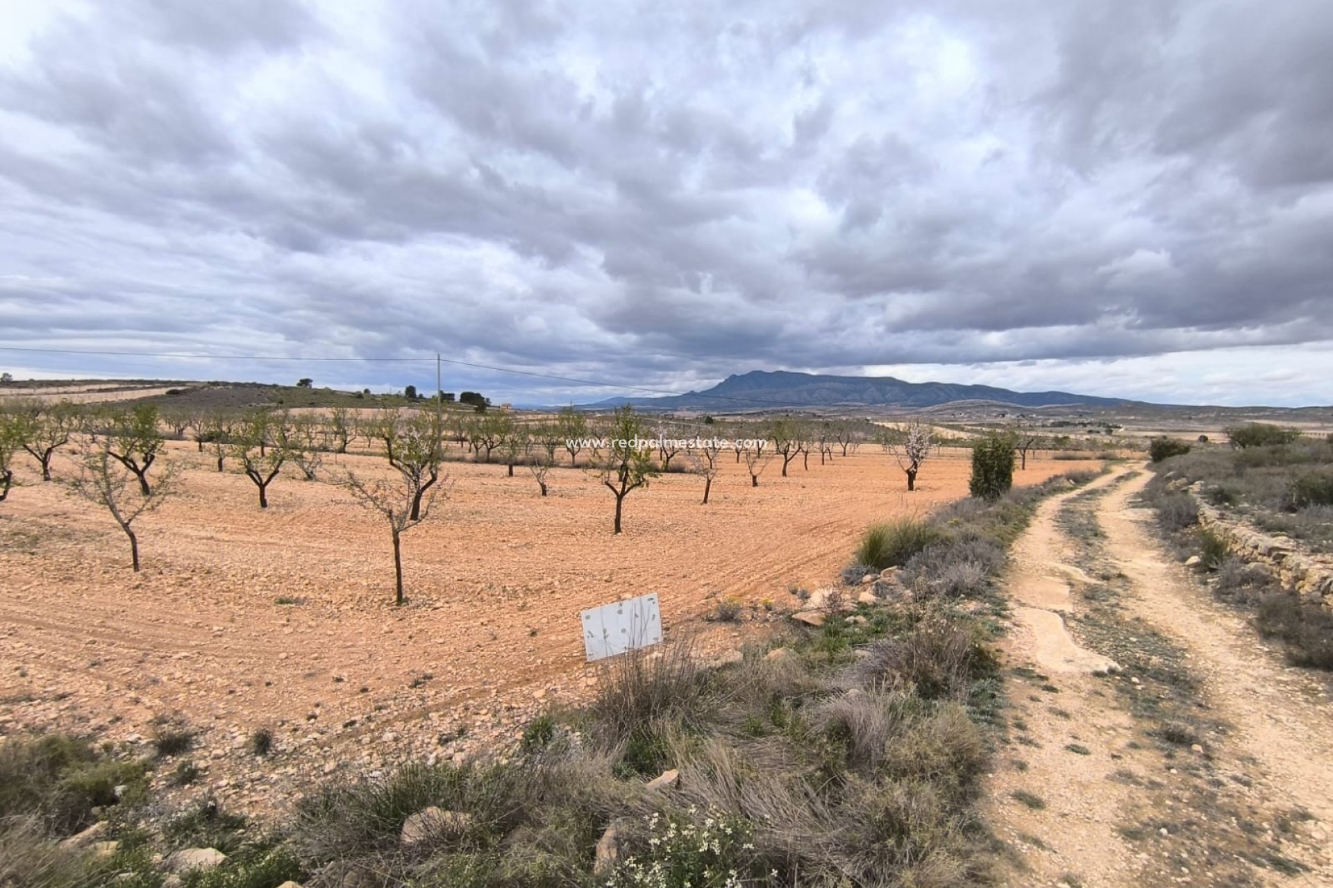 Revente - Parcelle -
Pinoso - Inland