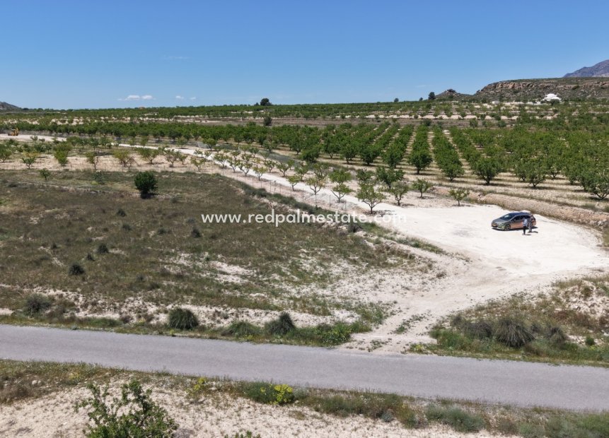 Revente - Parcelle -
Pinoso - Inland