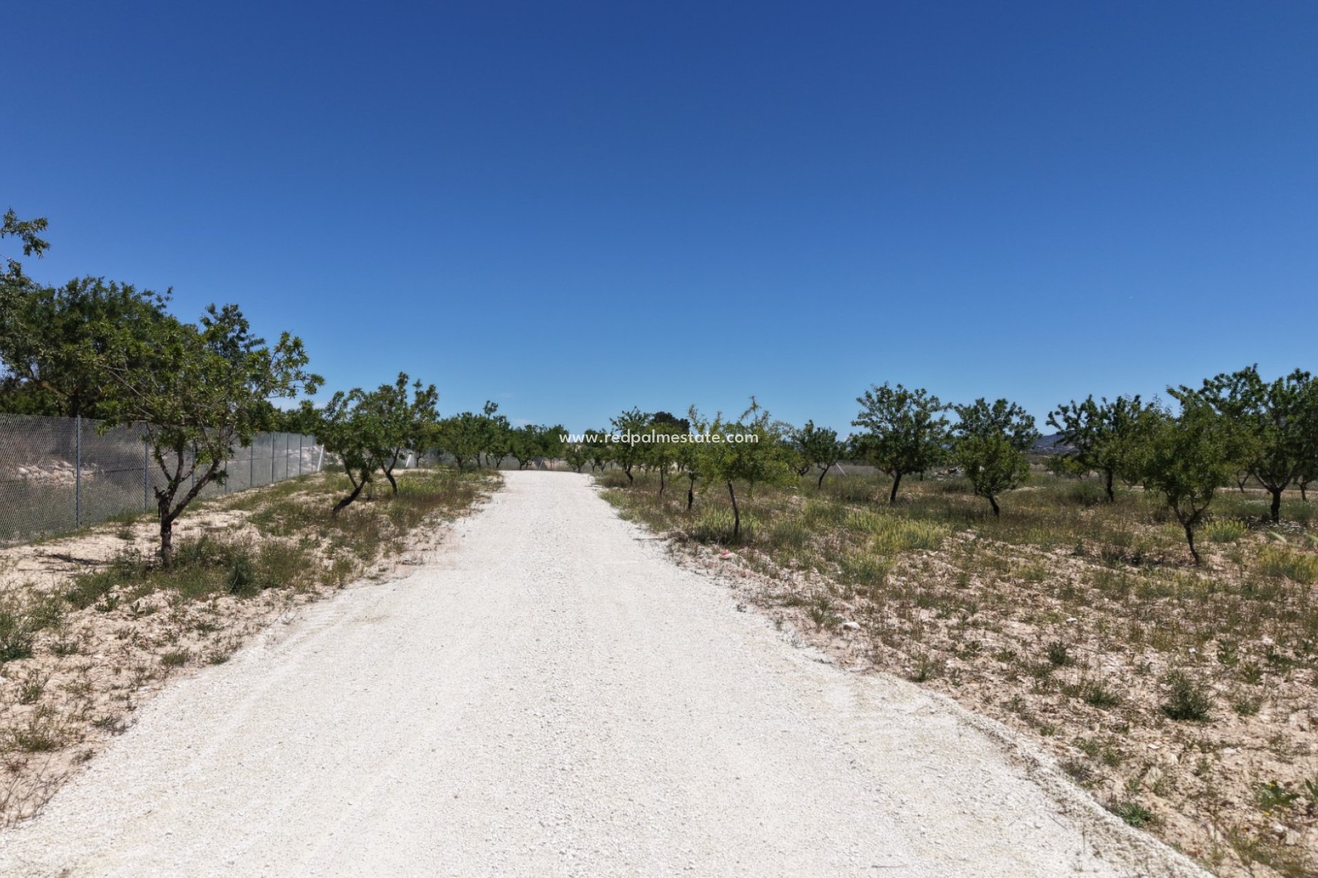 Revente - Parcelle -
Pinoso - Inland