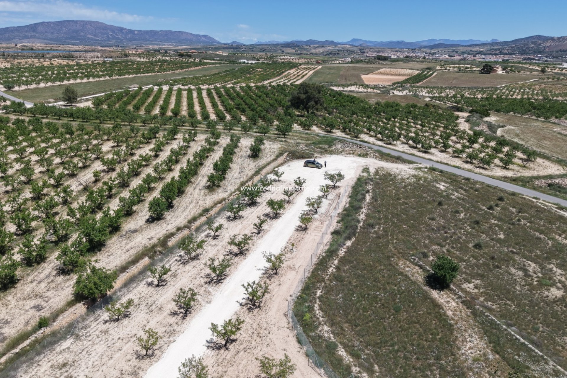 Revente - Parcelle -
Pinoso - Inland