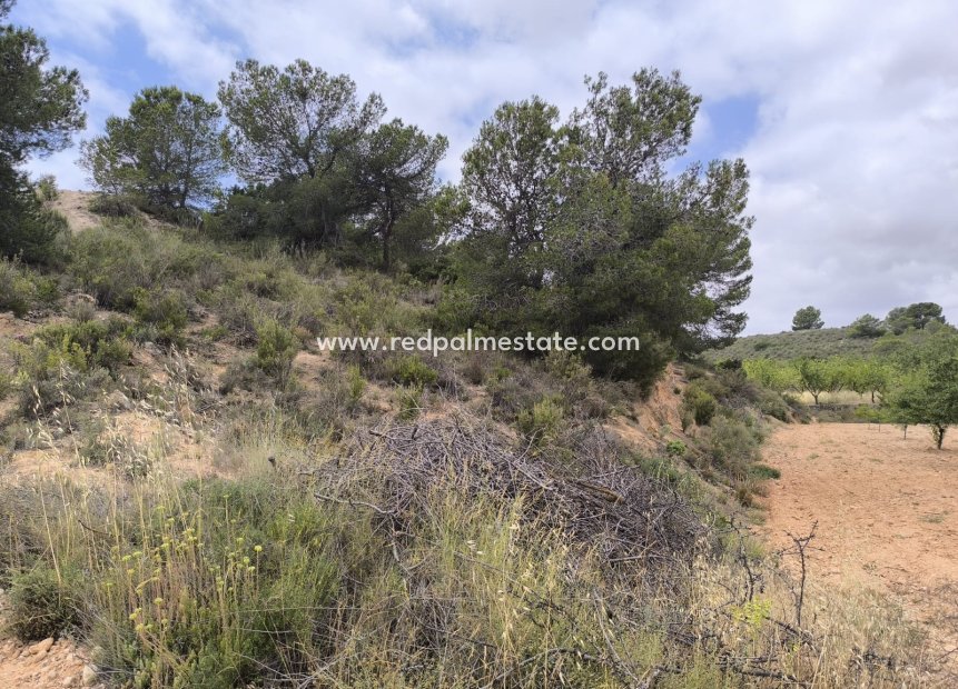 Revente - Parcelle -
Pinoso - Inland