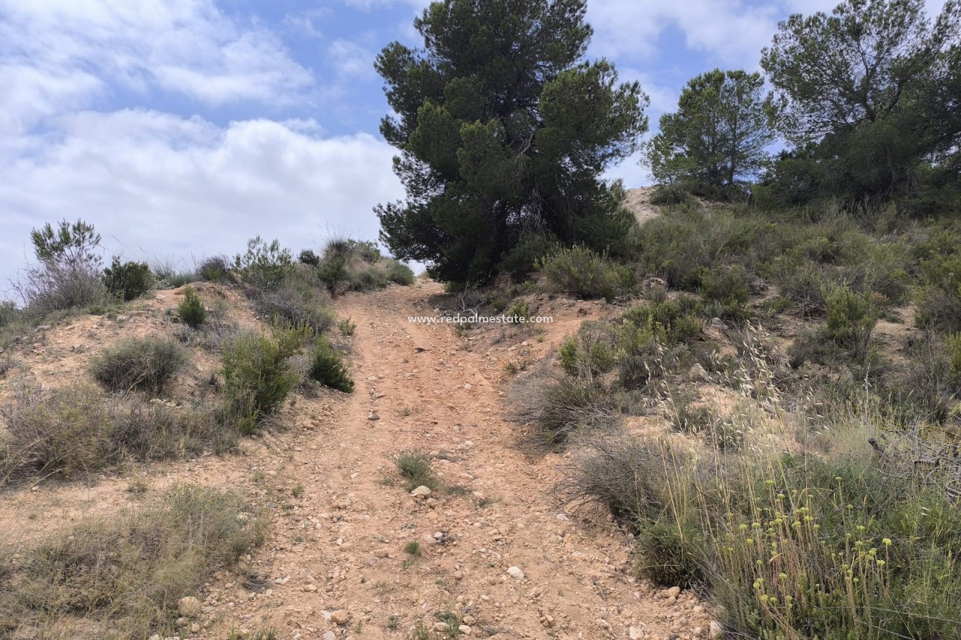 Revente - Parcelle -
Pinoso - Inland