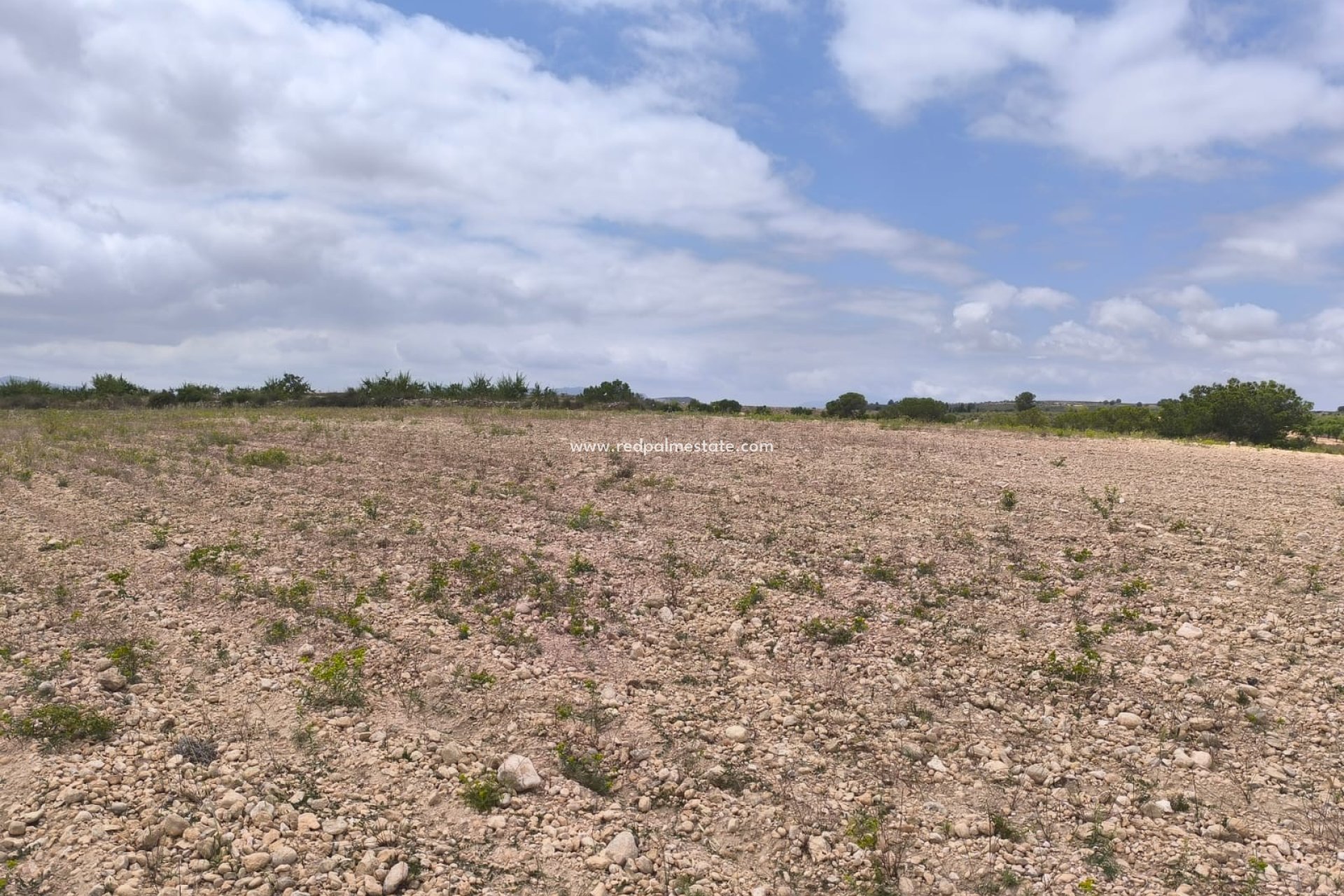 Revente - Parcelle -
Pinoso - Inland