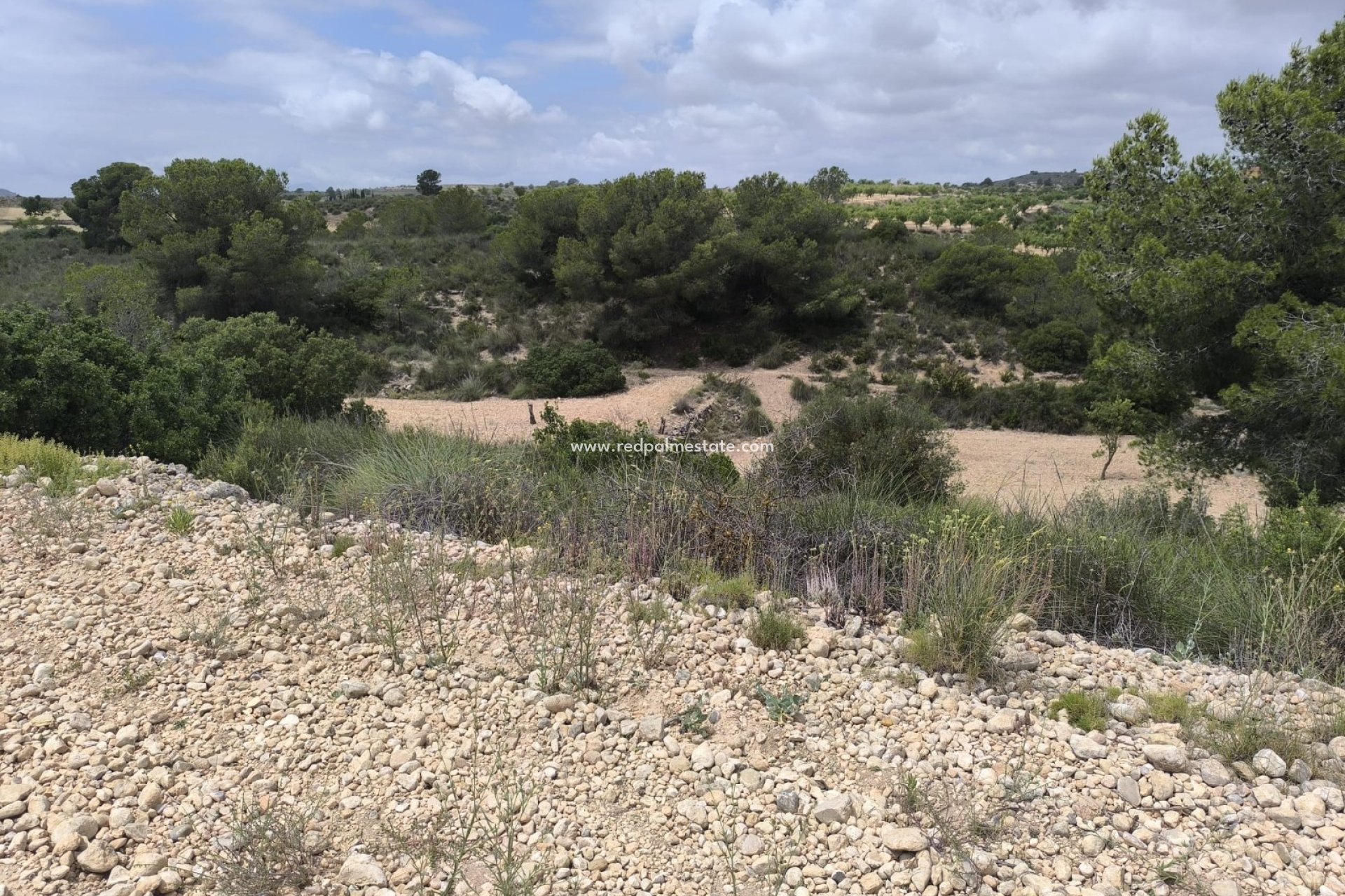 Revente - Parcelle -
Pinoso - Inland