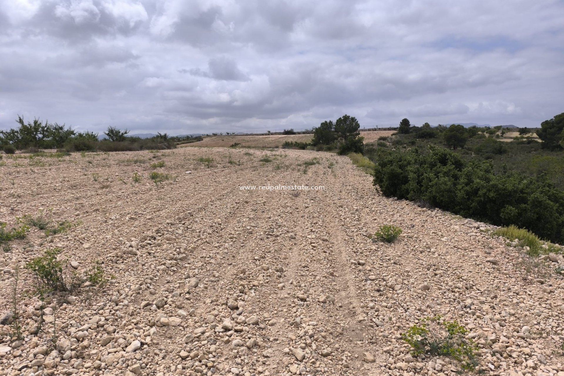 Revente - Parcelle -
Pinoso - Inland