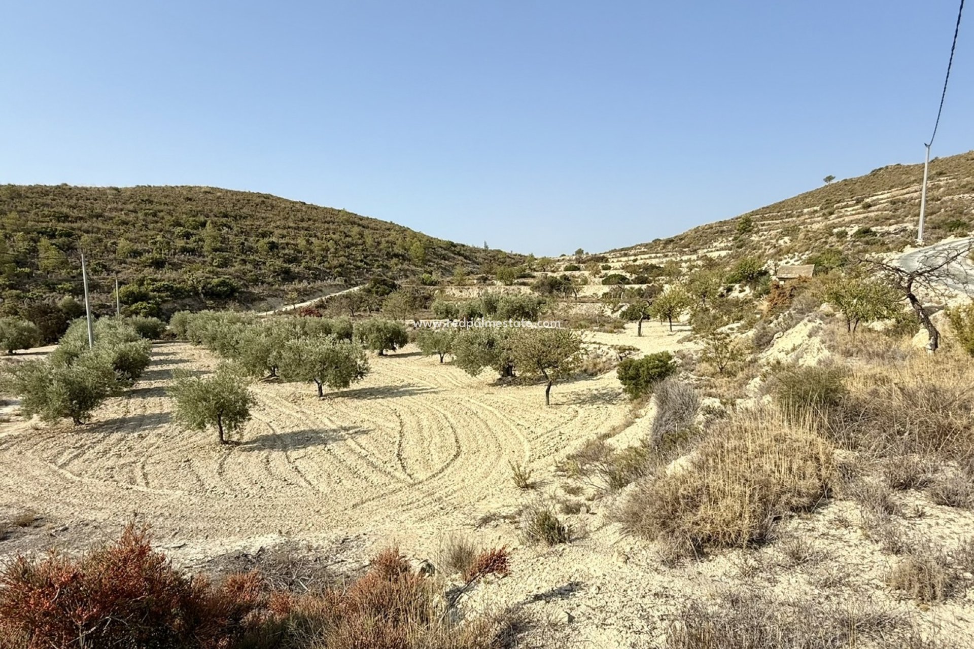 Revente - Parcelle -
Relleu - Costa Blanca
