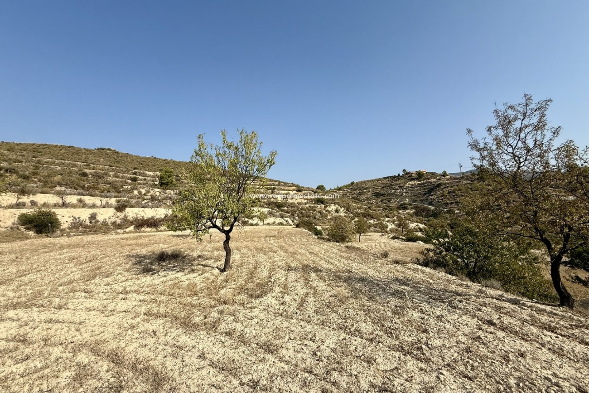 Revente - Parcelle -
Relleu - Costa Blanca