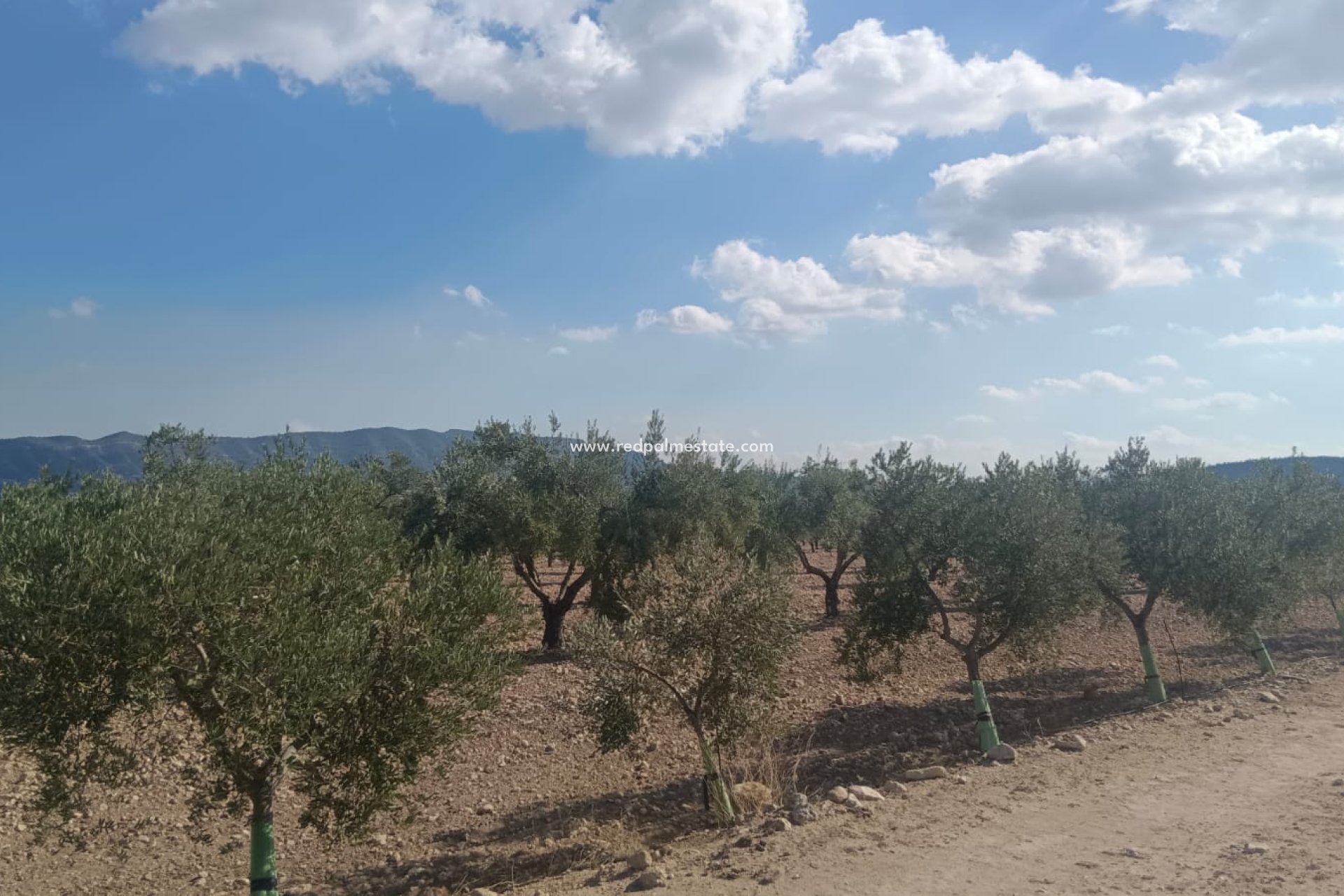 Revente - Parcelle -
Salinas - Inland