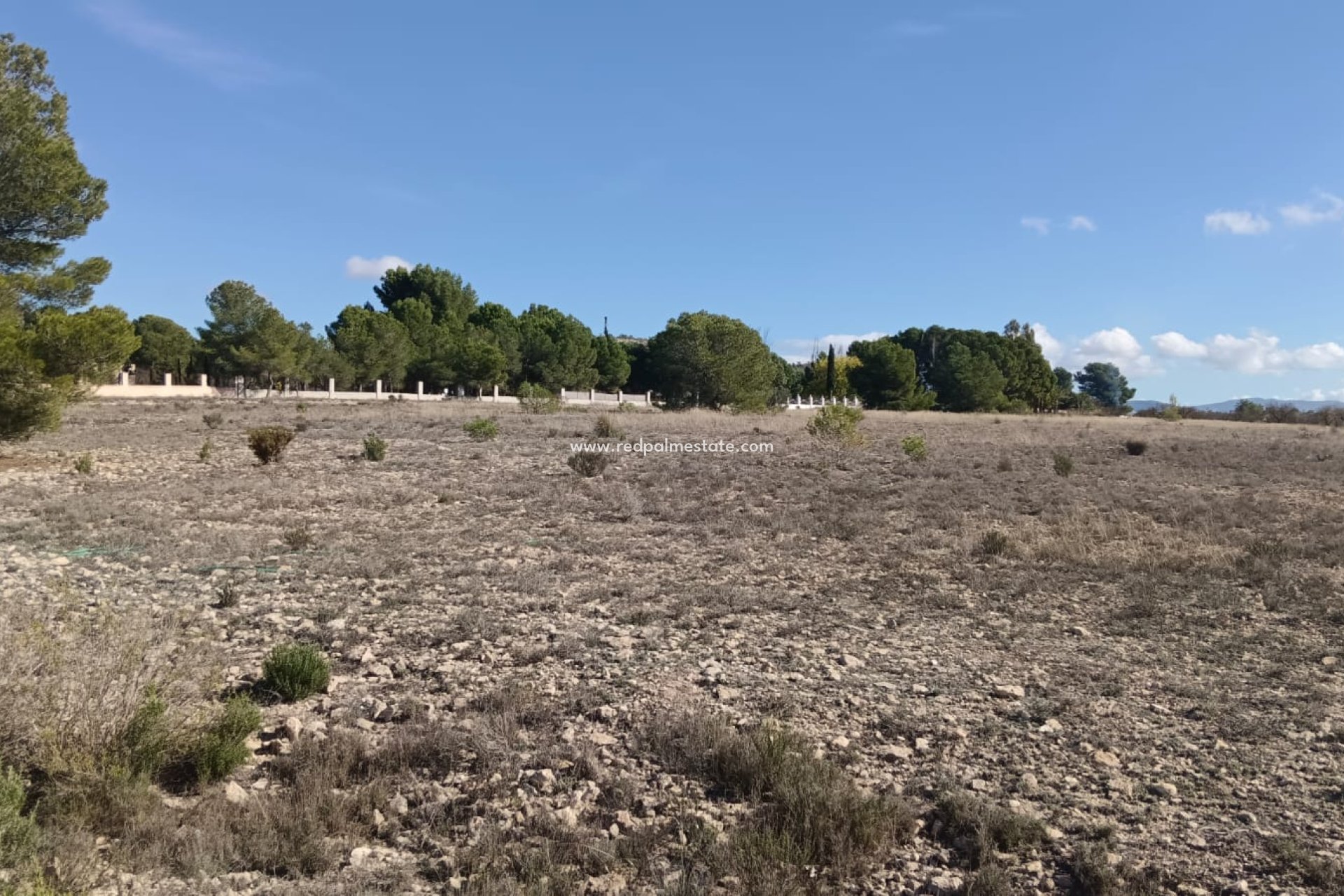 Revente - Parcelle -
Salinas - Inland