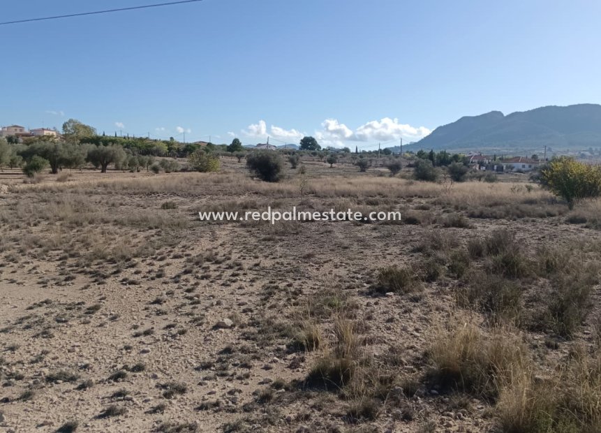 Revente - Parcelle -
Salinas - Inland