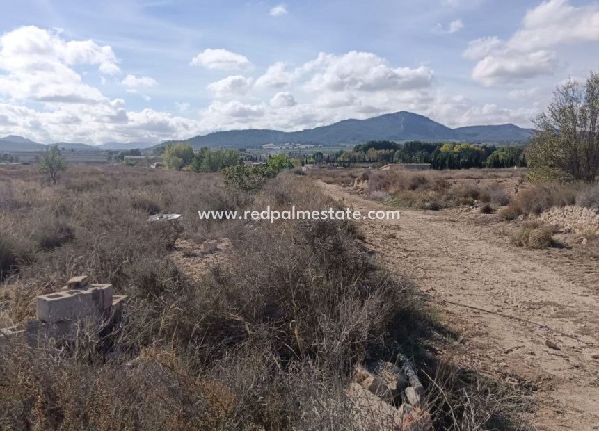 Revente - Parcelle -
Salinas - Inland