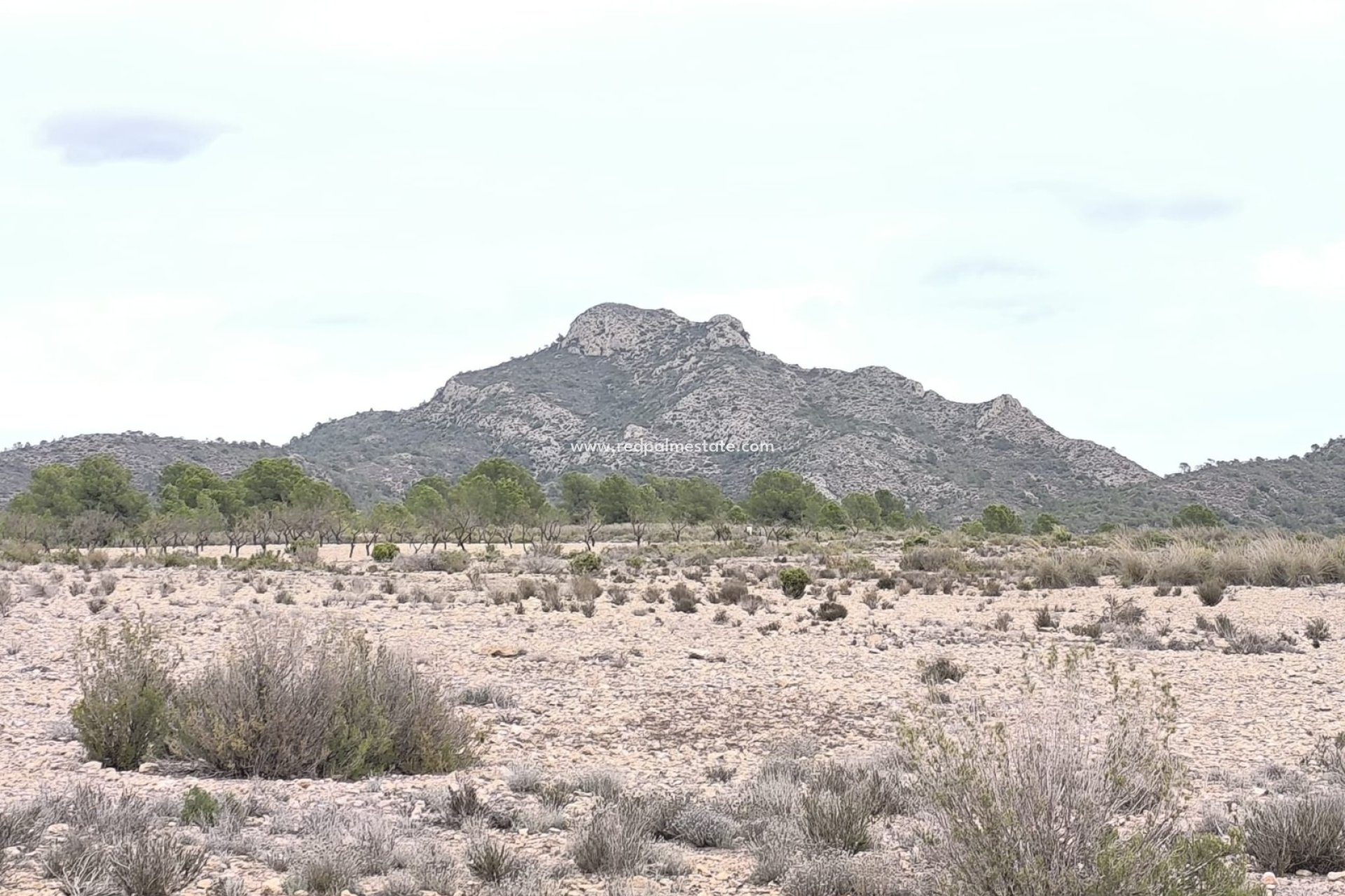 Revente - Parcelle -
Salinas - Inland