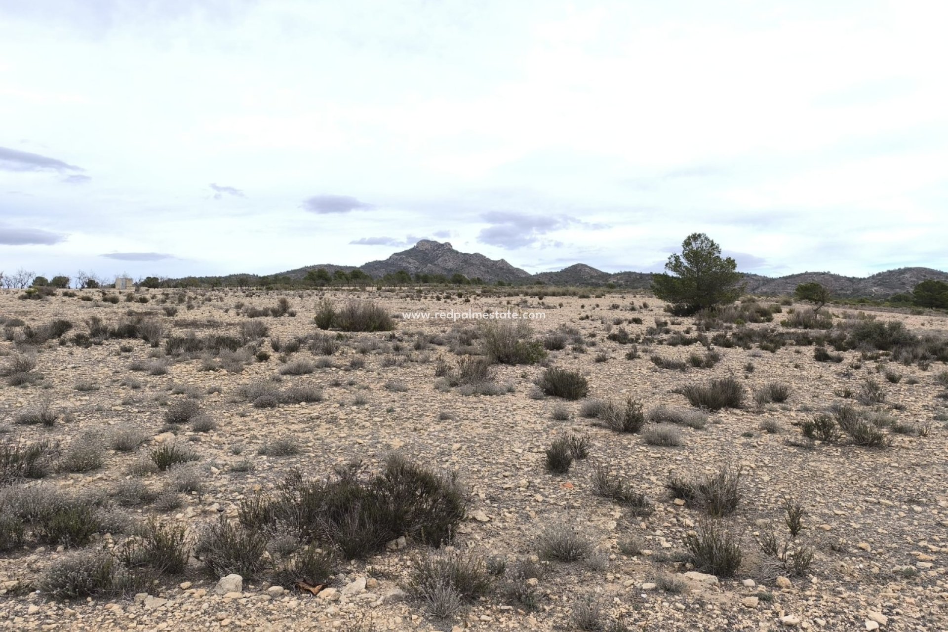 Revente - Parcelle -
Salinas - Inland