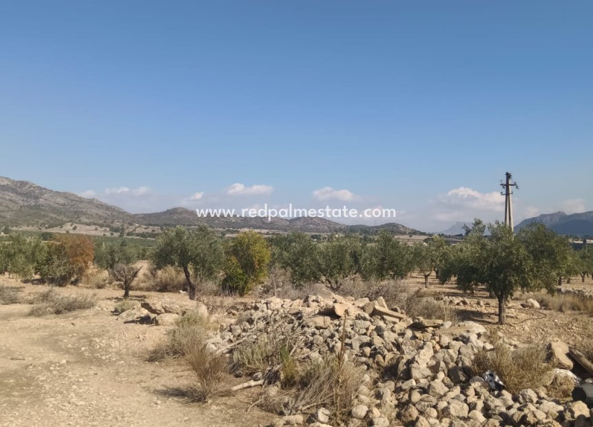 Revente - Parcelle -
Salinas - Inland