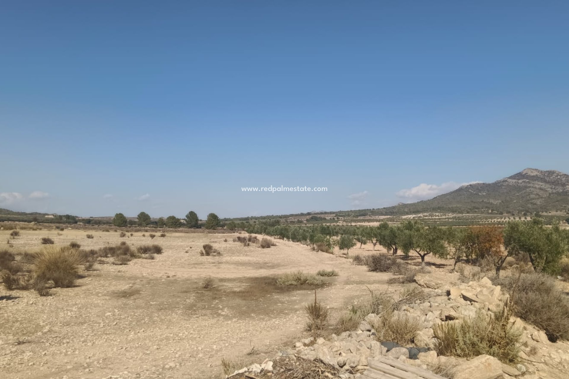 Revente - Parcelle -
Salinas - Inland