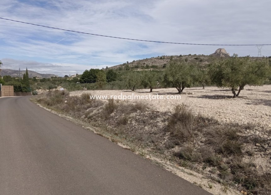 Revente - Parcelle -
Salinas - Inland