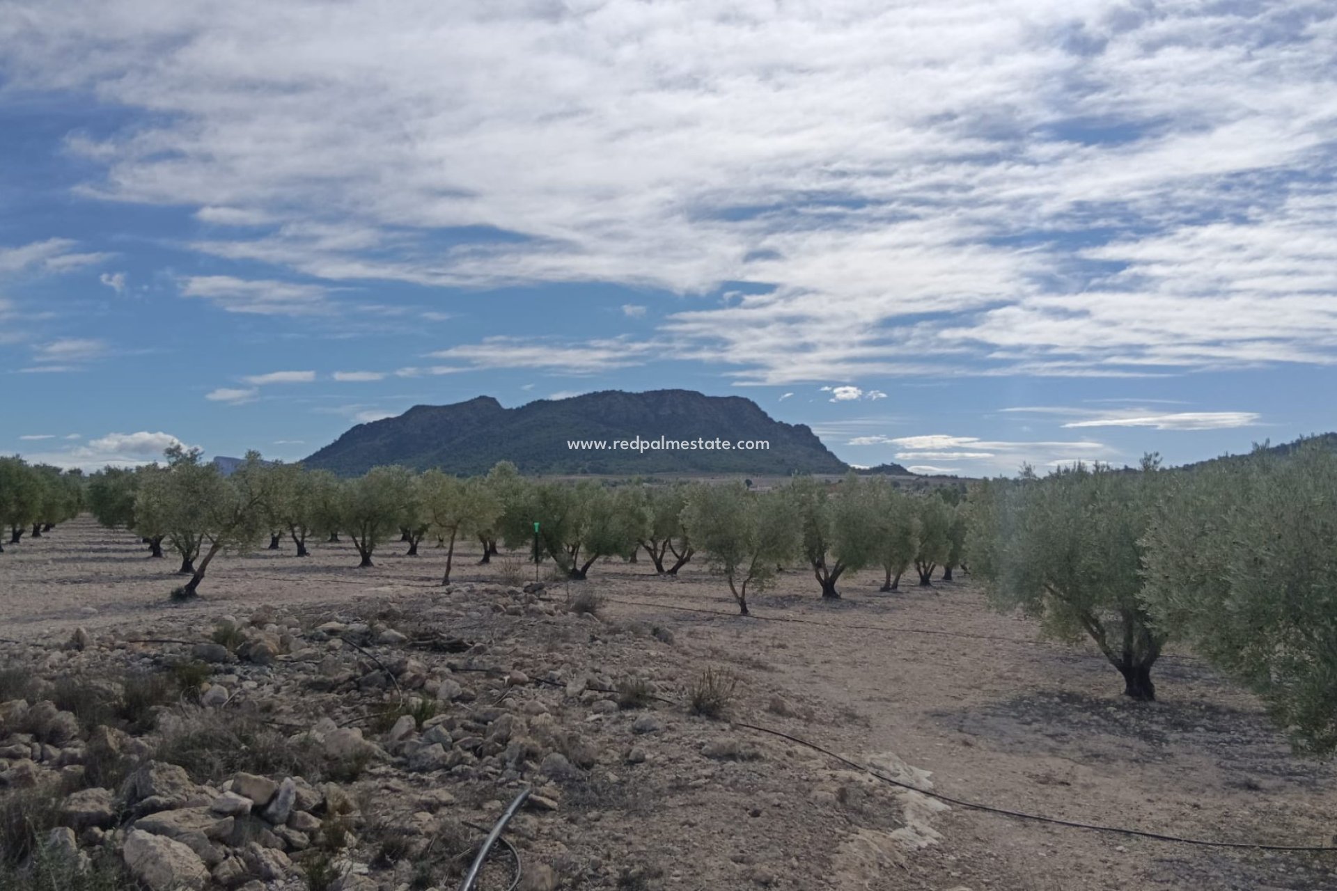 Revente - Parcelle -
Salinas - Inland