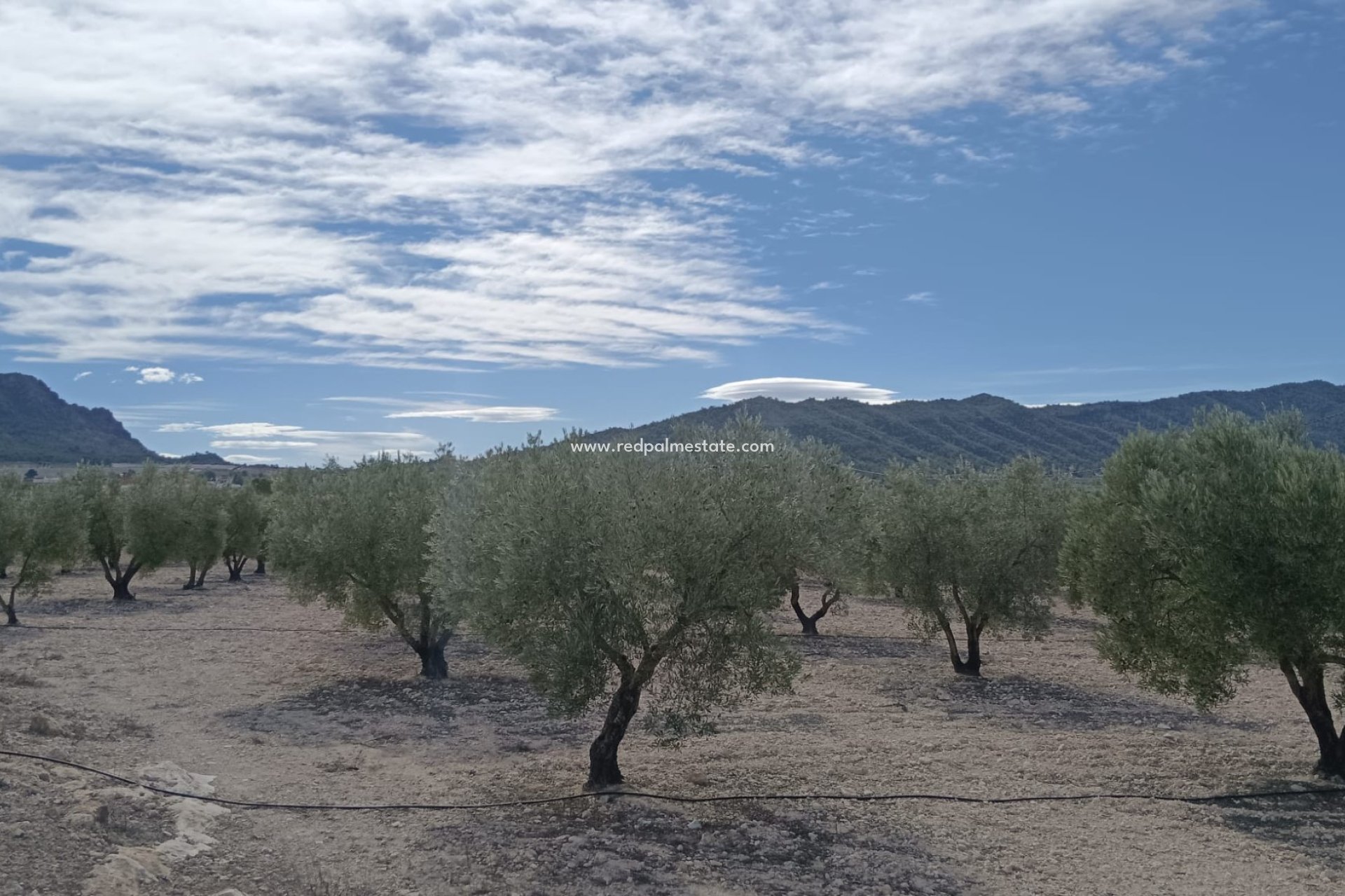 Revente - Parcelle -
Salinas - Inland