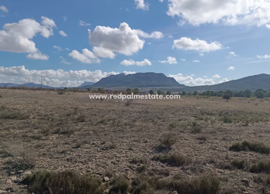 Revente - Parcelle -
Salinas - Inland