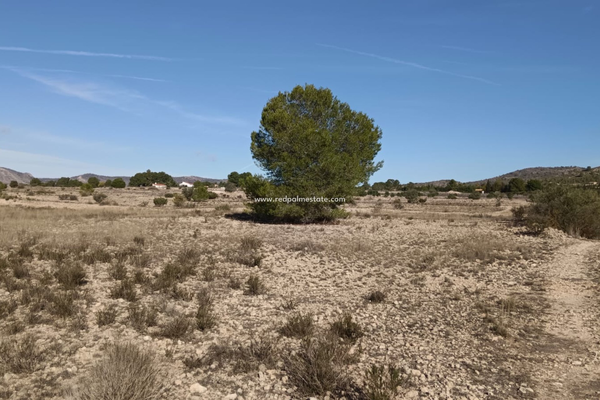 Revente - Parcelle -
Salinas - Inland