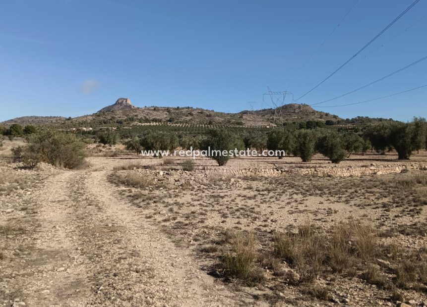 Revente - Parcelle -
Salinas - Inland