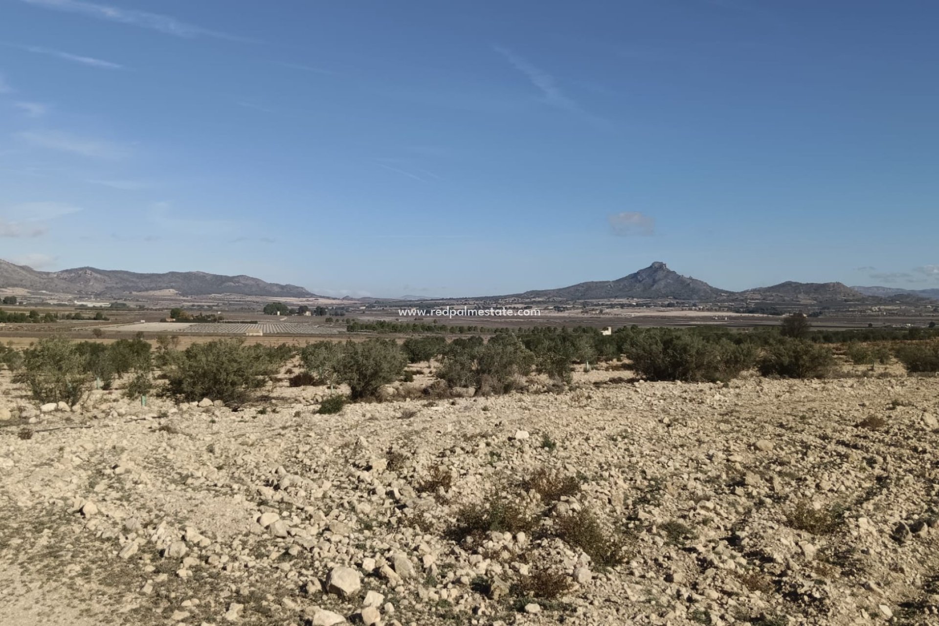 Revente - Parcelle -
Salinas - Inland