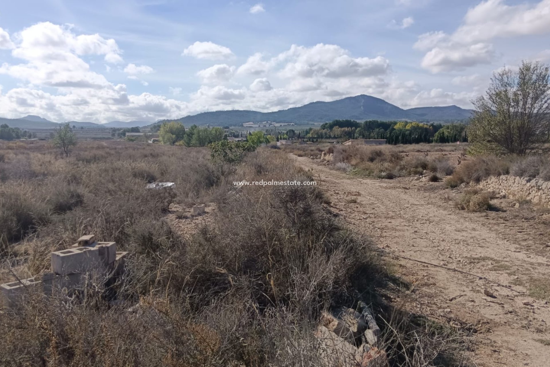 Revente - Parcelle -
Salinas - Inland